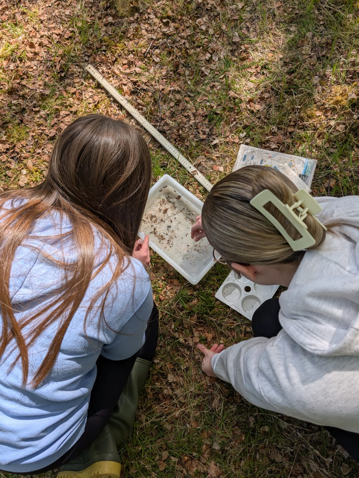 Last week we got to enjoy invertebrate investigations with science students from a local secondary school.
We looked into what species we could find in the different habitats around Aigas, including our beaver pools and birch woodland. From sweep netting to kick sampling, we got to look at a range of invertebrates as well as other wildlife we found on the way!