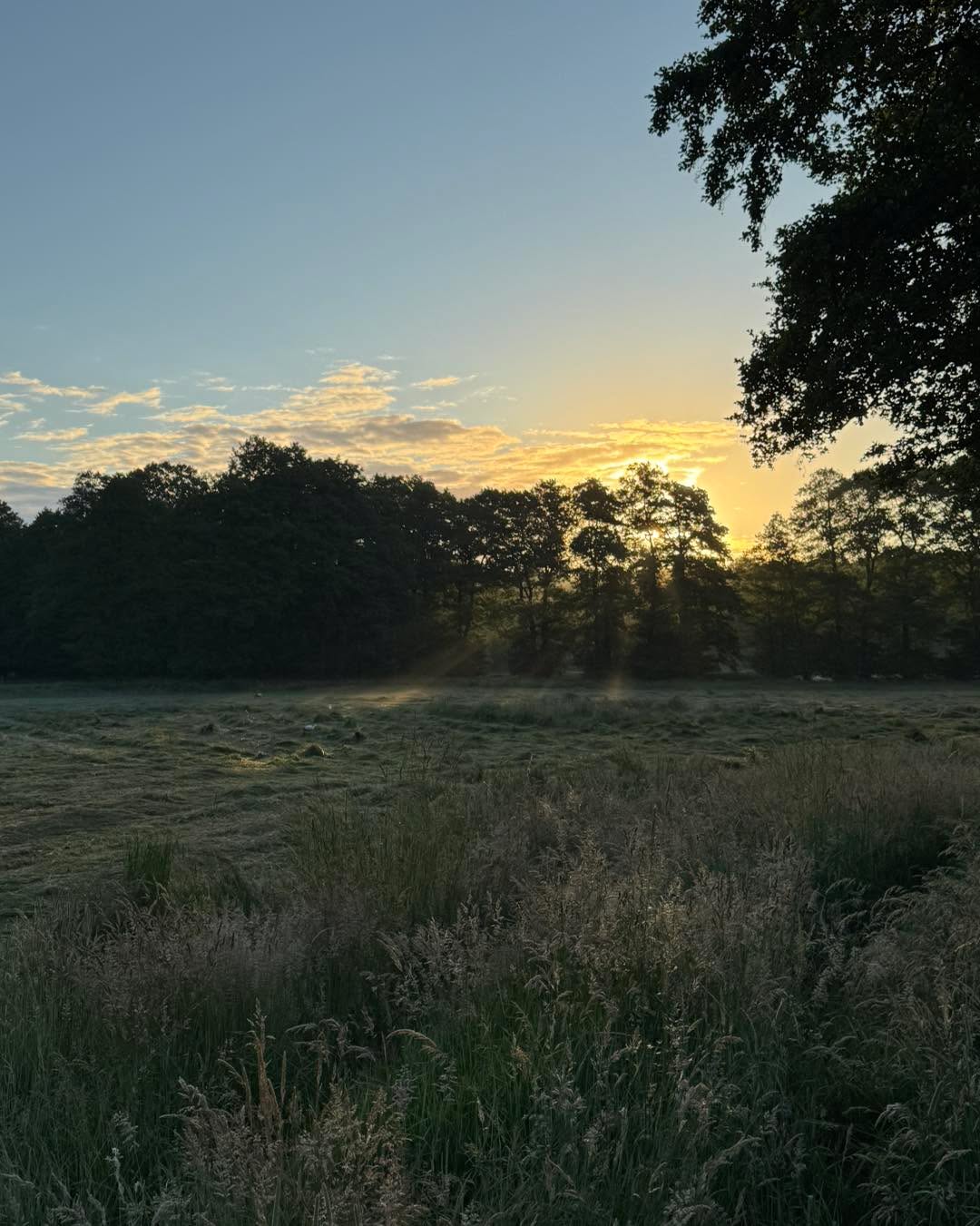 🦌 Rehkitzrettung heißt: früh aufstehen – und hinschauen.
Seid ihr eher Team Frühaufsteher ☕️ oder Langschläfer 🛏️? Lasst uns gerne ein Kommentar da! ☺️
Noch vor Sonnenaufgang starten unsere Teams, um Felder abzusuchen und Rehkitze vor dem Mähtod zu bewahren. Es ist viel Vorbereitung und Konzentration nötig – aber der Moment, in dem ein Kitz gefunden und in Sicherheit gebracht wird, macht alles lohnenswert.
Bitte unterstützt unsere Arbeit mit einer Spende oder teilt diesen Beitrag, damit noch mehr Menschen von der Rehkitzrettung erfahren.
Nutzt dazu gerne unsere Paypal-Adresse:
📩 paypal@rehkitzrettung-hannover.de
Oder den direkten Spendenlink:
🔗 https://www.paypal.com/donate/?hosted_button_id=QRLKMUJ7MG382
Mehr Infos dazu auf unserem Kanal oder auf unserer Webseite:
🌐 www.rehkitzrettung-hannover.de
#Rehkitzrettung #Tierschutz #Ehrenamt #KitzeRetten #Frühaufsteher #Wildtierschutz #DrohneimEinsatz #SpendenHilft #NaturSchützen #Hannover #drohne #regionhannover