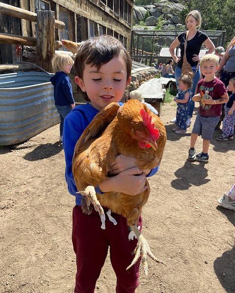We loved hosting the Estes Park Library at MacGregor Ranch for a sunny outdoor story time! 📚☀️ The theme was chickens 🐔 and the real ones didn’t disappoint! Families enjoyed stories, fresh mountain air, and some quality time with our friendly horses and feathered friends. Thanks to all who joined us for a beautiful day of learning and laughter! 🐴📖💛
Looking forward to seeing everyone again for our next bee themed story time!