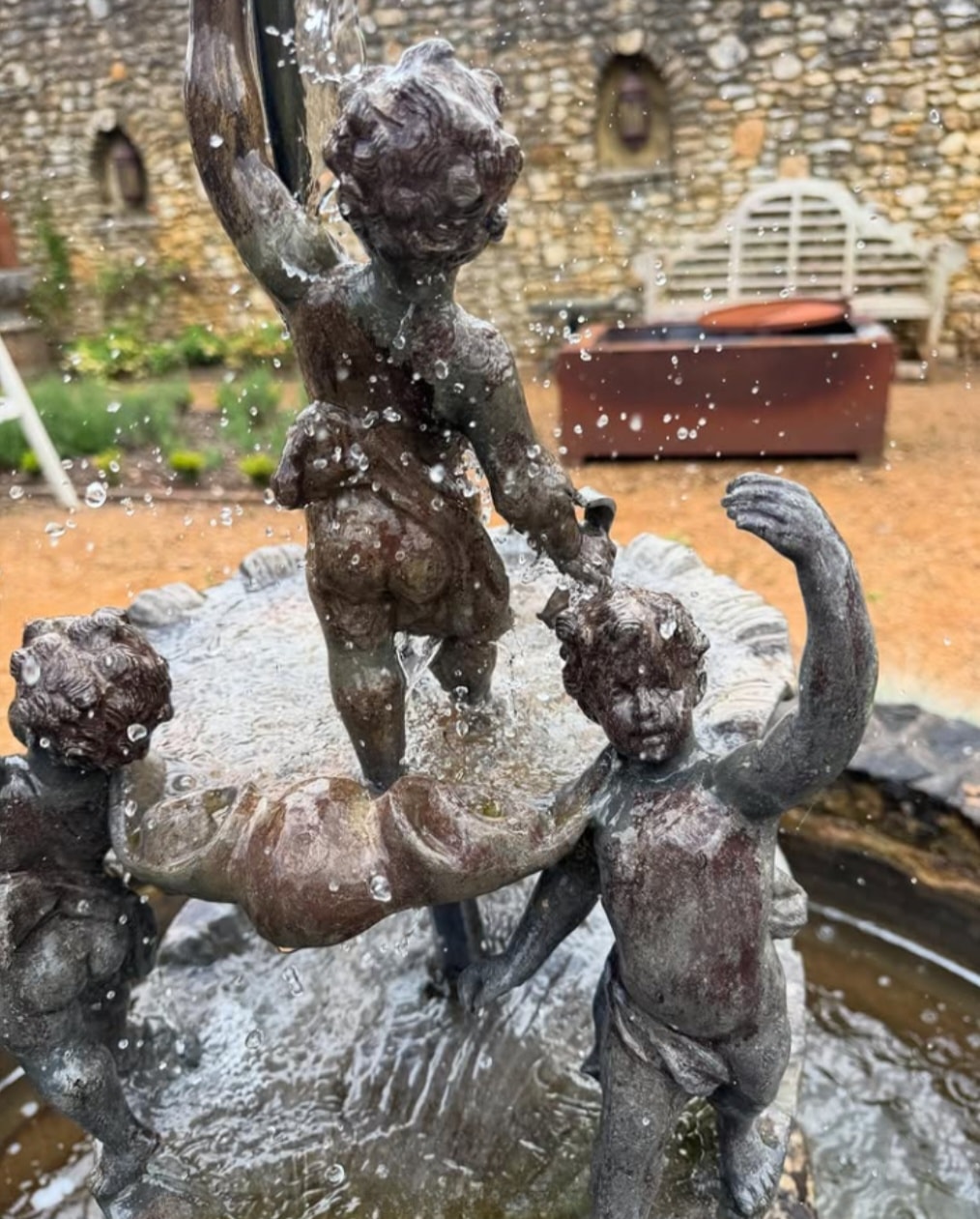 Congratulations to our #hiddengardensphotocomp...
Our Under17 winner is 10 year old Charlie Willis @cadencewillis
Our Adult winner is Halina Lemare @halina_lemare