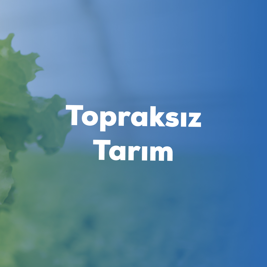 Dijitalde Güç Sizinle!
Sosyal medya yönetimi, reklam planlaması ve içerik tasarımıyla markanızın dijitaldeki gücünü artırıyoruz.
📲 Siz de dijitalde öne çıkmak istiyorsanız, bizimle iletişime geçin.
🌐 blazar.com.tr
☎️ 0532 469 91 34
#DijitalAjans #SosyalMedyaYönetimi #ReklamYönetimi #BlazarYazılım #KurumsalKimlik #İçerikÜretimi