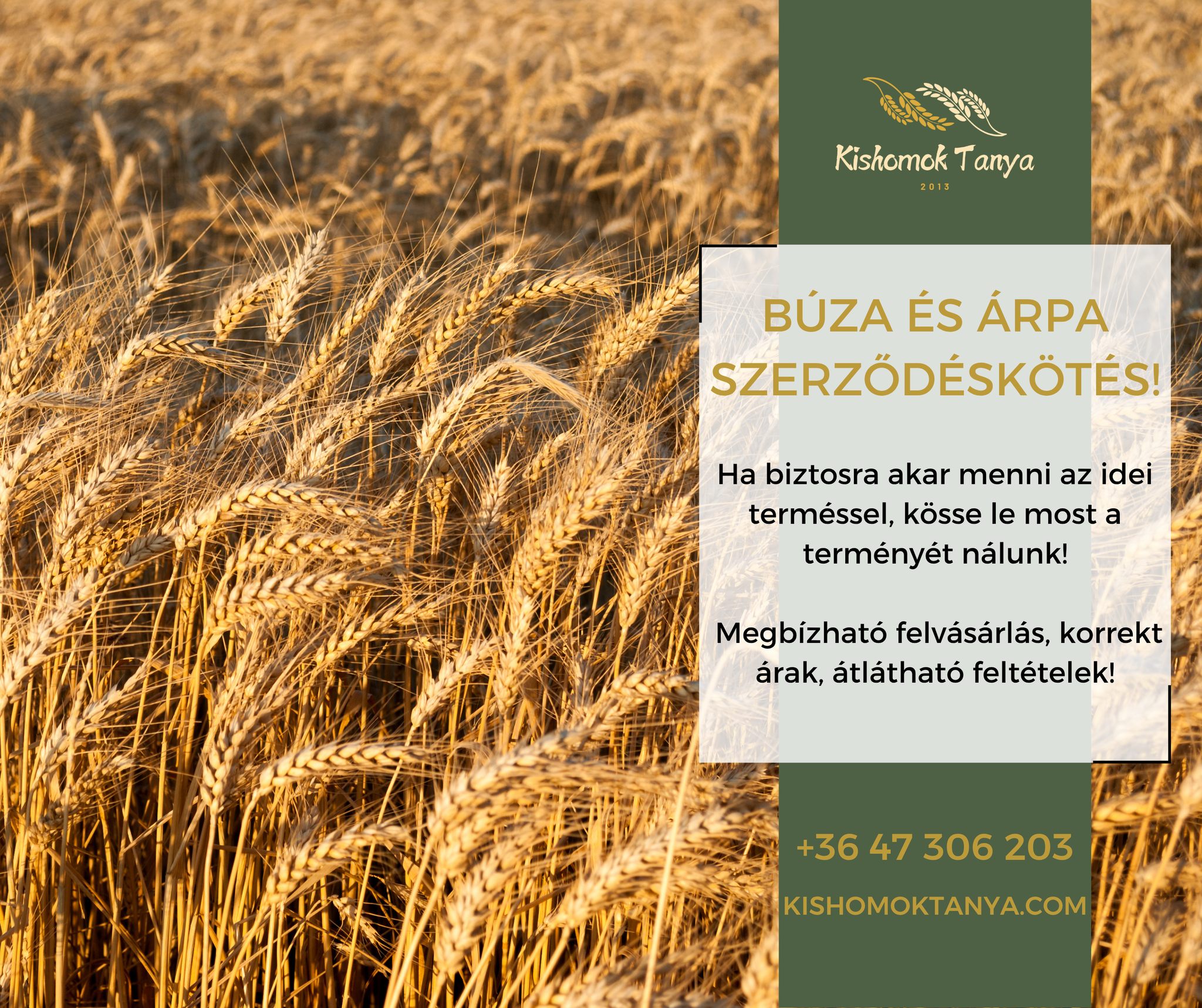🌾 Búzát vagy árpát termelsz? Akkor figyelj! 🌾
Itt az idő, hogy biztosítsd az idei termésed sorsát!
Köss előre szerződést a Kishomok Tanyával, és dőlj hátra nyugodtan:
✅ Megbízható felvásárlás
✅ Korrekt, átlátható árak és feltételek
✅ Nincs meglepetés, csak biztos piac!
📞 Érdeklődni: +36 47 306 203
🌐 Részletek: kishomoktanya.com
👉 Ne hagyd az utolsó pillanatra – gondolkodj előre, szerződj velünk most!