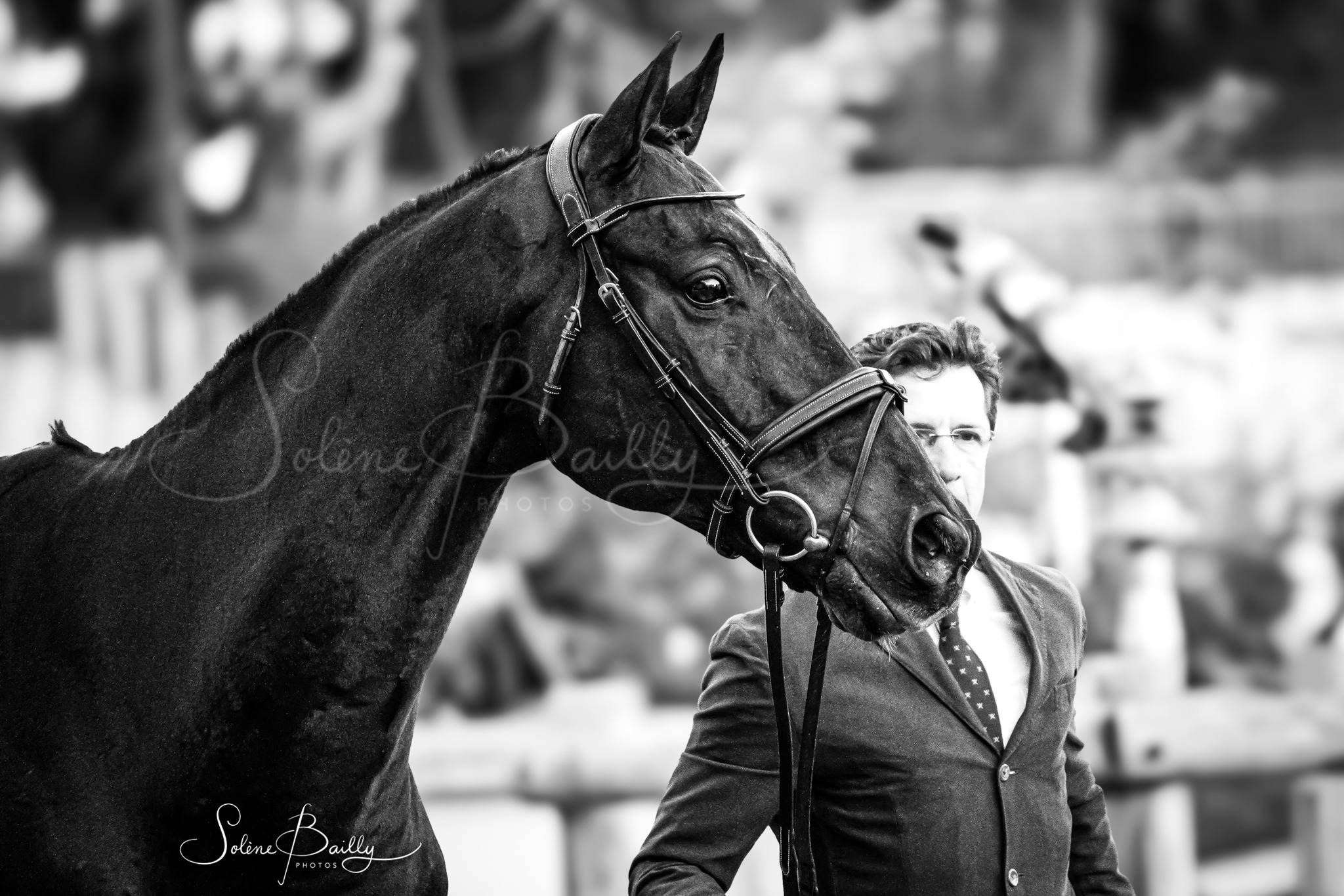 🌟Tarastro🌟...
Bon courage à tout son entourage en commençant par son cavalier @regis.prudhon