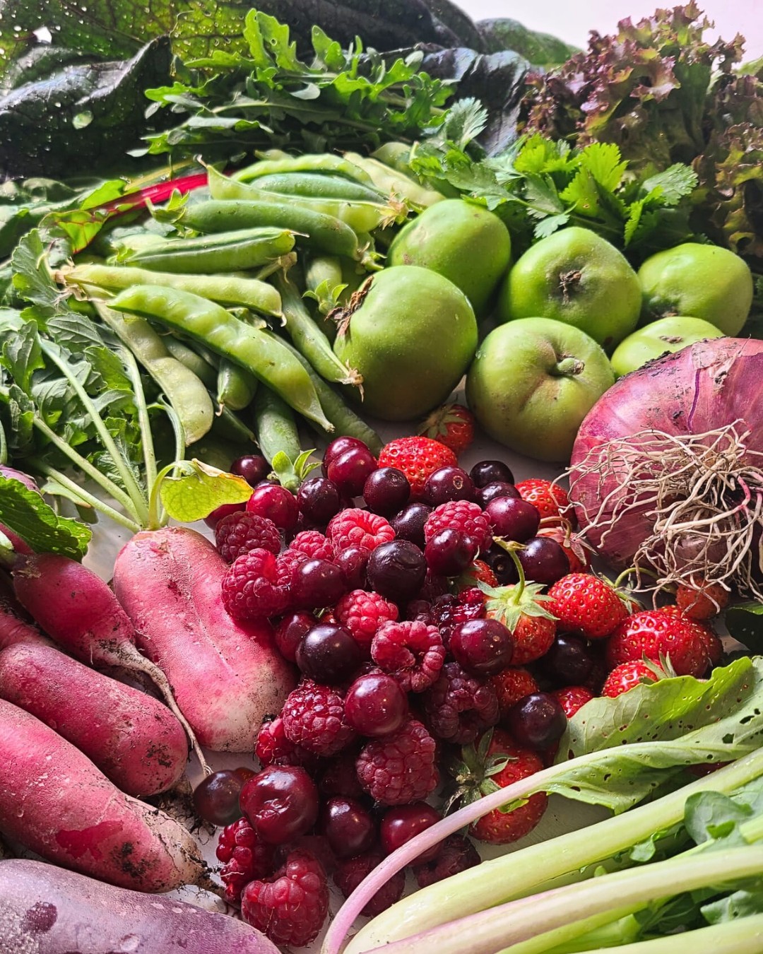 Our First Big Harvest at the Allotment! 😍
We have gathered a delightful selection of produce:
Radish French Breakfast
Pak Choi
Onion Robelja
Pea Rondo
Rainbow Chard
Coriander
Rocket
Osaka Purple Mustard Leaves
Lettuce Lollo Rossa
Additionally, from our previous allotmenteers, we also have:
Crab Apples
Raspberries
Strawberries
Cherries
Blackcurrants
Culinary Plans for Our Harvest:
Berries will be perfect for breakfast smoothies or for desserts paired with ice cream.
Radish, peas, pak choi, coriander, and mustard leaves are ideal for stir-fries and curry dishes
Rocket and chard for tomato dishes.
Crab apples are destined for delicious pies.
Before we know it, they will be gone! 😋
#allotmentuk #allotment #allotmentlove #allotmentlife #allotmentsofinstagram #allotmentgarden #growyourownfood #vegetablegarden