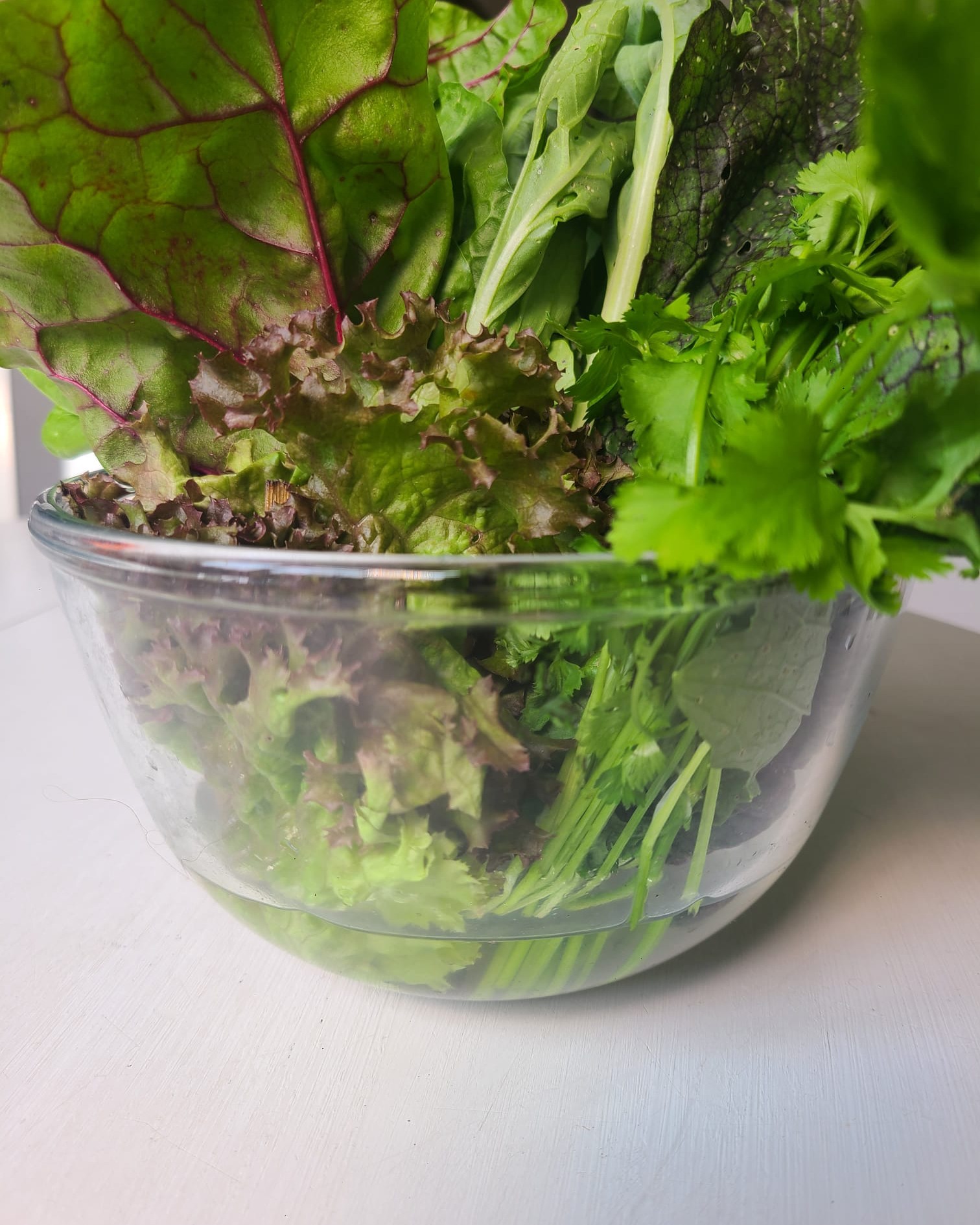 How do you store your leafy greens?
This is my all time favourite vegetable storing hack!
Just treat them like cut flowers, change the water regularly and they'll stay crunchy and delicious 😍
#vegetablegarden #kitchengarden #gardeninghacks #vegetablegardeningtips #vegetablegardeningtipsandtricks #vegetablegardening101