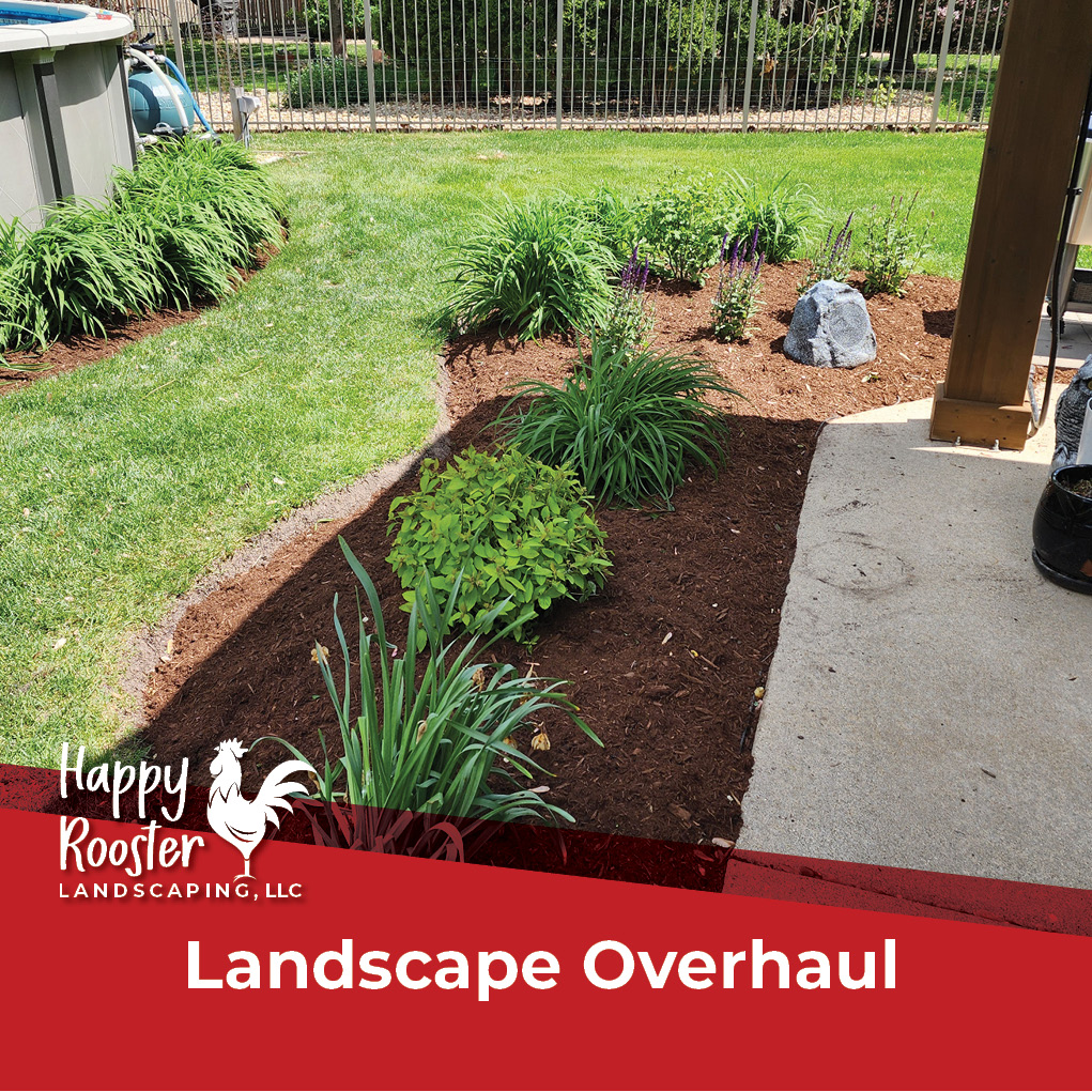 Just in time for summer fun! We helped the client enhance their outdoor space with a custom landscape design that seamlessly incorporated their existing plants while adding new elements for year-round interest. Finished it off with clean edges, weed-free beds, and a layer of premium mulch. Ready for the next backyard gathering!
Want to get your yard party-ready? Message us for a no-pressure estimate! 224-808-4353 HappyRoosterLandscaping.com
#BackyardGlowUp #CustomLandscapeDesign #SummerReadyYard #HappyRoosterLandscaping #OutdoorLivingGoals #LakeInTheHillsIL