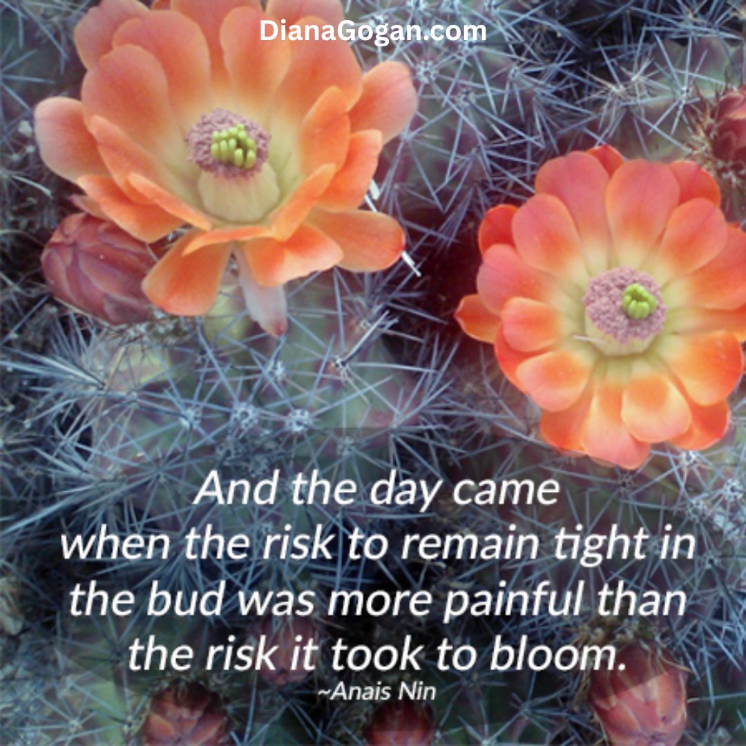 Signs You’re Out of Alignment with Your Soul
Ever feel stuck, drained, or like you’re living on autopilot?
That might be a sign you’re out of alignment with your Soul’s truth.
In Part 5 of The Soul’s Journey, we’re diving into Creating from Your Soul’s Truth — exploring how to spot the signs of misalignment and what to do about it.
• Learn to recognize energy leaks, resistance, and where you’re saying yes when your Soul says no.
• Discover simple practices to realign with what truly matters.
• PLUS — download a free worksheet with journal prompts and a self-assessment quiz: “Are You Living in Soul Alignment?”
If you’re ready to start living with intention and integrity, this one’s for you.
Read the Blog: https://www.dianagogan.com/post/creating-from-your-soul-s-truth-the-soul-s-journey-part-5
Ready to realign with your Soul? Learn how you can do that at https://www.dianagogan.com/work-with-diana
#TheSoulsJourney #SoulAlignment #IntentionalLiving #DianaGoganCoaching