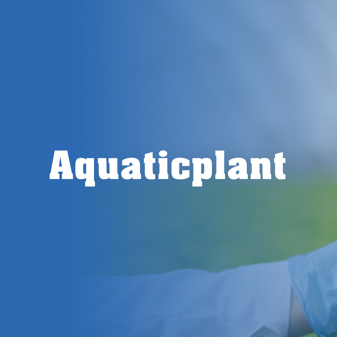 Dijitalde Güç Sizinle!
Sosyal medya yönetimi, reklam planlaması ve içerik tasarımıyla markanızın dijitaldeki gücünü artırıyoruz.
📲 Siz de dijitalde öne çıkmak istiyorsanız, bizimle iletişime geçin.
🌐 blazar.com.tr
☎️ 0532 469 91 34
#DijitalAjans #SosyalMedyaYönetimi #ReklamYönetimi #BlazarYazılım #KurumsalKimlik #İçerikÜretimi