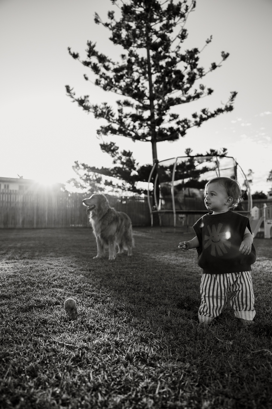 His first best friend had four legs, golden fur, and a tail that never stopped wagging.
Together, they filled the backyard with laughter, muddy feet, and endless games of fetch. And one day — when the dog has grey around his muzzle and the boy is no longer a boy — these photos will help him remember.
The way his dog looked at him.
The way they played.
The bond they shared on those warm, everyday afternoons.
Because dogs don’t stay little.
And neither do children.
But this chapter — this love — gets to live on, held in photographs they’ll treasure for years to come.
✨ Wondering what a session like this feels like? I’ve created a free guide to walk you through it — relaxed, real, and deeply meaningful. You’ll find it at the link in my bio.
#RockhamptonPhotographer #TangibleMemories #BoyAndHisDog #FamilyPhotographyRockhampton #EverydayMomentsMatter #DocumentYourDays #GoldenYearsOfParenting #InHomePhotography #FamilyDogLove #CandidFamilyPhotos #RockhamptonFamilies