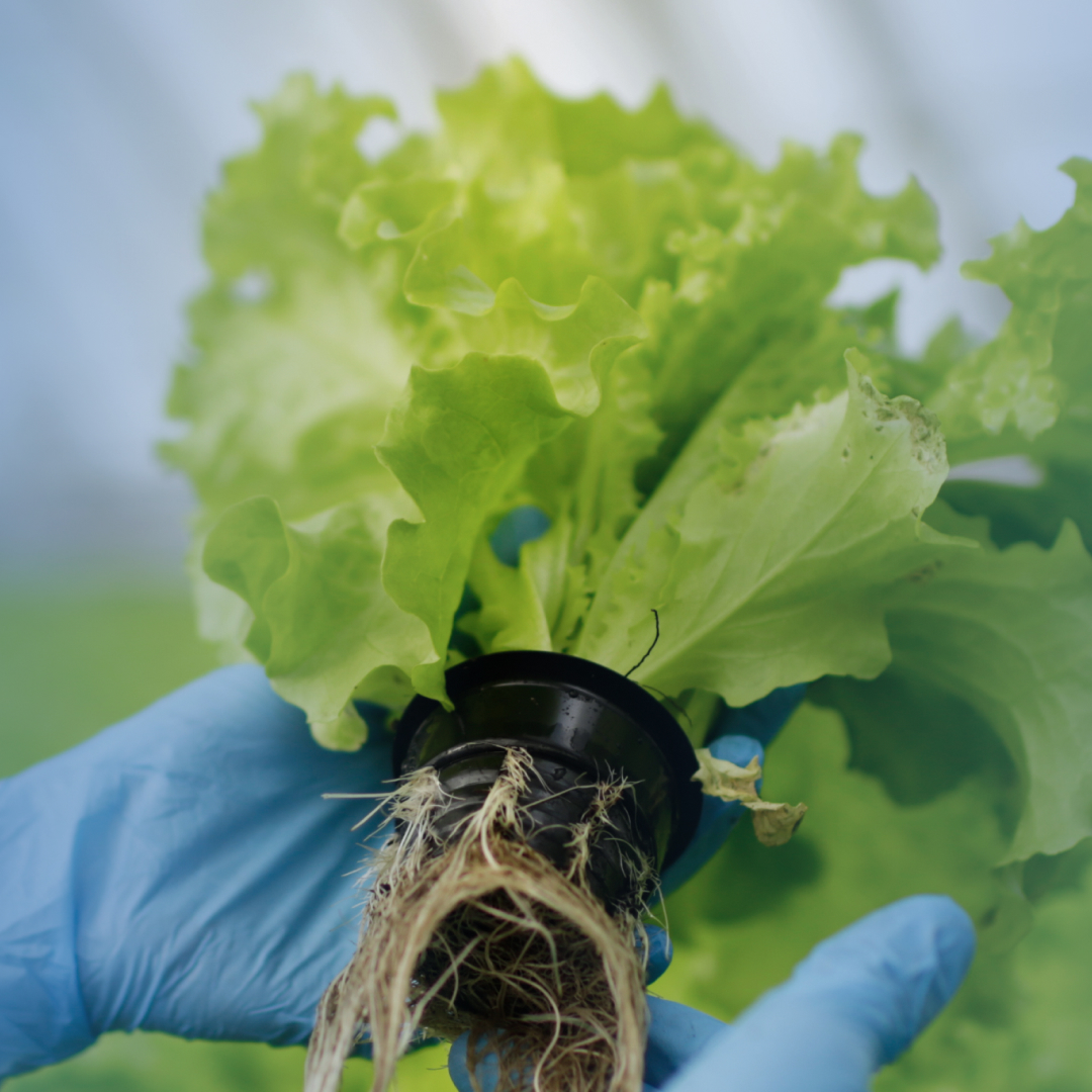 Dijitalde Güç Sizinle!
Sosyal medya yönetimi, reklam planlaması ve içerik tasarımıyla markanızın dijitaldeki gücünü artırıyoruz.
📲 Siz de dijitalde öne çıkmak istiyorsanız, bizimle iletişime geçin.
🌐 blazar.com.tr
☎️ 0532 469 91 34
#DijitalAjans #SosyalMedyaYönetimi #ReklamYönetimi #BlazarYazılım #KurumsalKimlik #İçerikÜretimi