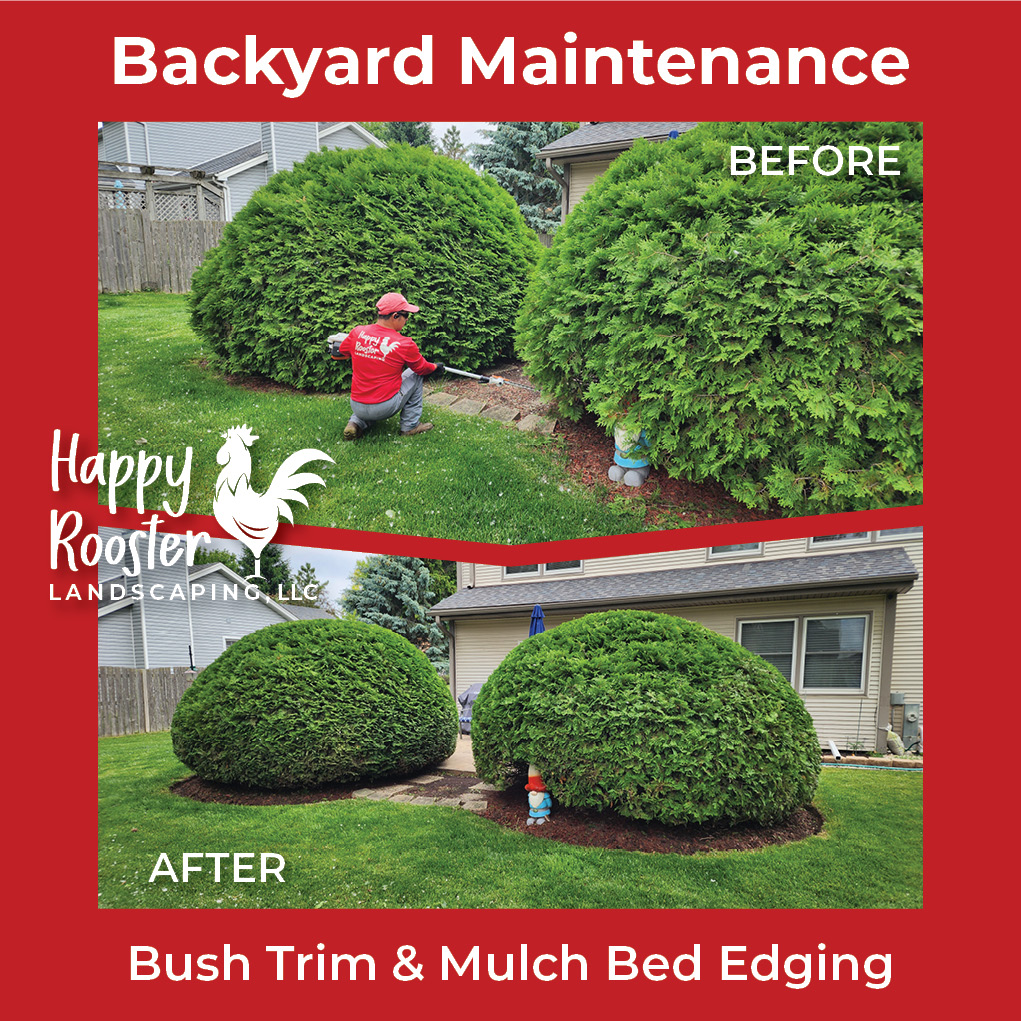 A little trim and tidy goes a long way! Ready to refresh your landscape? Reach out for a free, no-pressure estimate. 224-808-4353 HappyRoosterLandscaping.com
#LandscapeRefresh #TrimmedAndTidy #BushControl #HappyRoosterLandscaping #CrystalLakeIL