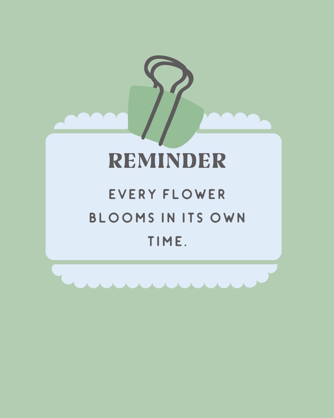 Just your regular bookkeeping bestie cheering you on! Not everyone knows exactly how to run a business or what to do.
Sometimes it takes time to become the business owner you always dreamed of.
#saltspringislandbc #cowichanvalley #hellomondaybookkeeping #saltspringislandbusinesses #saltspring #canadianbookkeeper #britishcolumbia #sidneybc #gulfislands