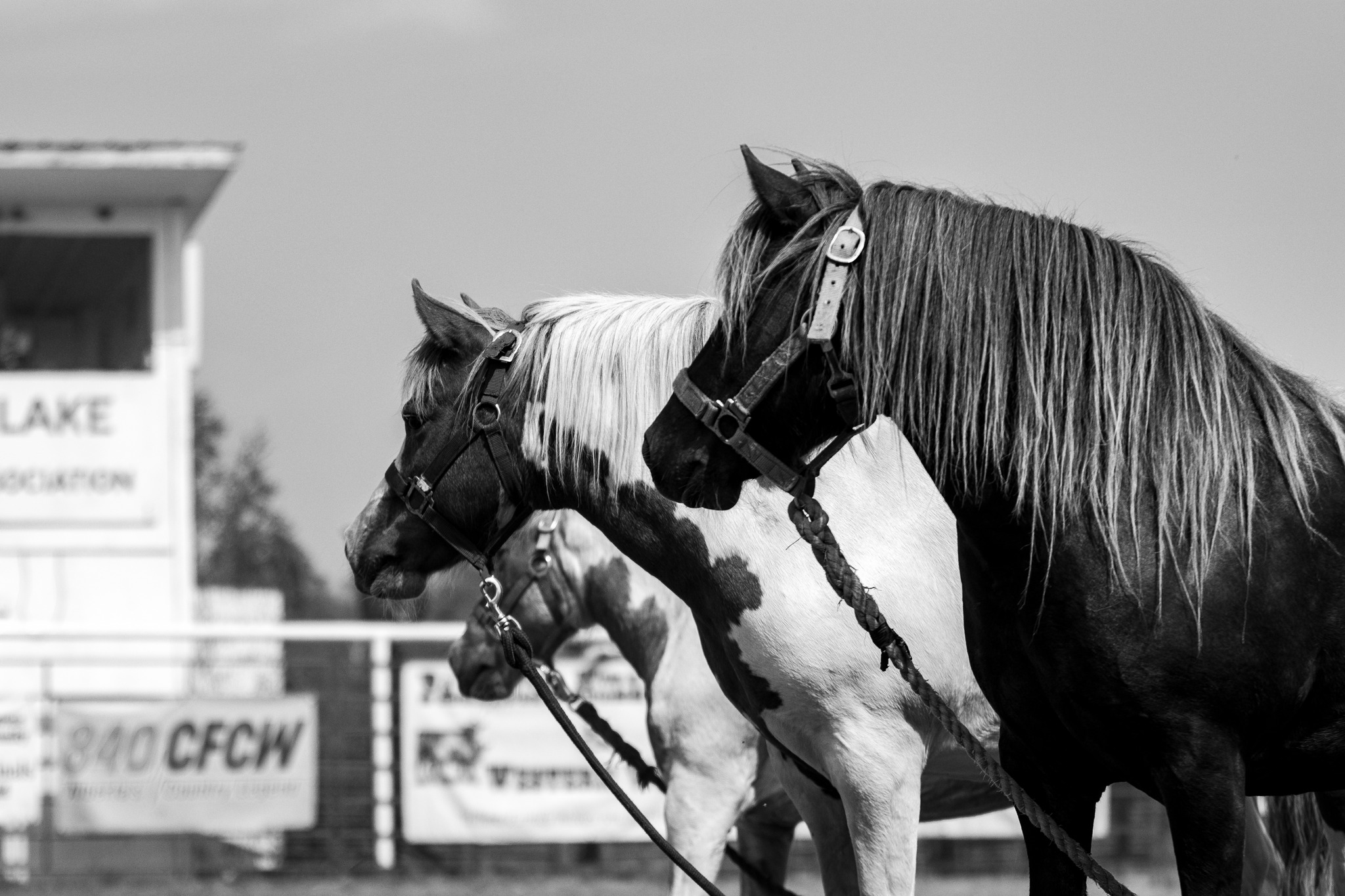 Day 2 and we’re back in the saddle!
Pancakes, ponies, and more wild rodeo action coming your way.
Don’t miss the last ride!
#StoneyLakeRodeo #SundayShowdown #WesternWeekend