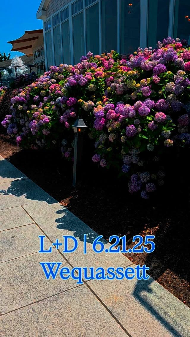 The first sunny Saturday in 13 weeks, and it couldn't have been better! We were feeling pretty lucky to be feeling the breeze and watching a baby seal play as we set up on the Grand Lawn at @wequassett. Doesn't get much better than creating something special for our clients at one of the most beautiful venues on the Cape! (Plus working with our favorite @laurelcapecod / @capecodcelebrations 💕)
.
Vendors:
Planner @capecodcelebrations @diazgram @laurelcapecod
Venue @wequassett
Band @night_shift_entertainment
Florist @gardenpartycapecod
Photographer @kpietrowski
Videographer @veiledinmotion
Beauty @michelleshairandbeautybridal
Rentals @truenortheventrentals @bbjlatavola
Transport @chathamvalet
Stationer @dulcepress
Photo Booth @nephotobooth
Rehearsal Dinner @hogislandbeer