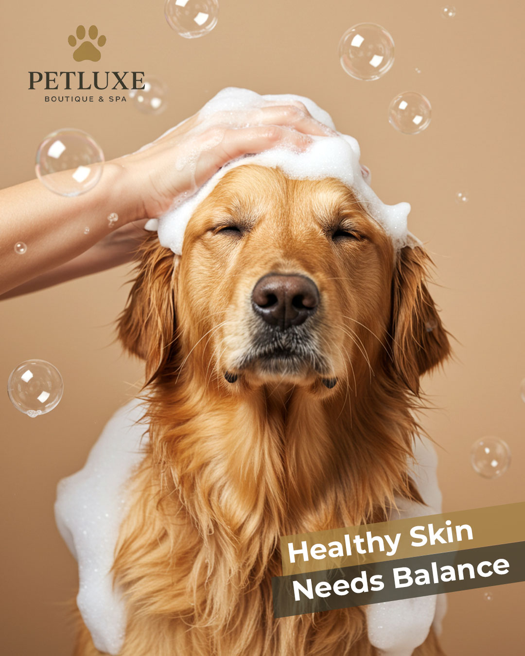 Bathing too much can backfire. 🚿🐾
Yes, even cleanliness has its limits! Overbathing your pet can strip away natural oils, causing dry skin, irritation, and even more shedding. ❌🧼
At PetLuxe, we follow breed-specific care routines — because every coat has its own rhythm.
Need help finding the right grooming schedule?
📍 Visit us at M Floor, Building 22, Al Hisn
📞 Or just call 02 566 2815
.
.
#PetLuxe #CatGrooming #FelineCare #AbuDhabi #PetCareDubai #pets #Grooming