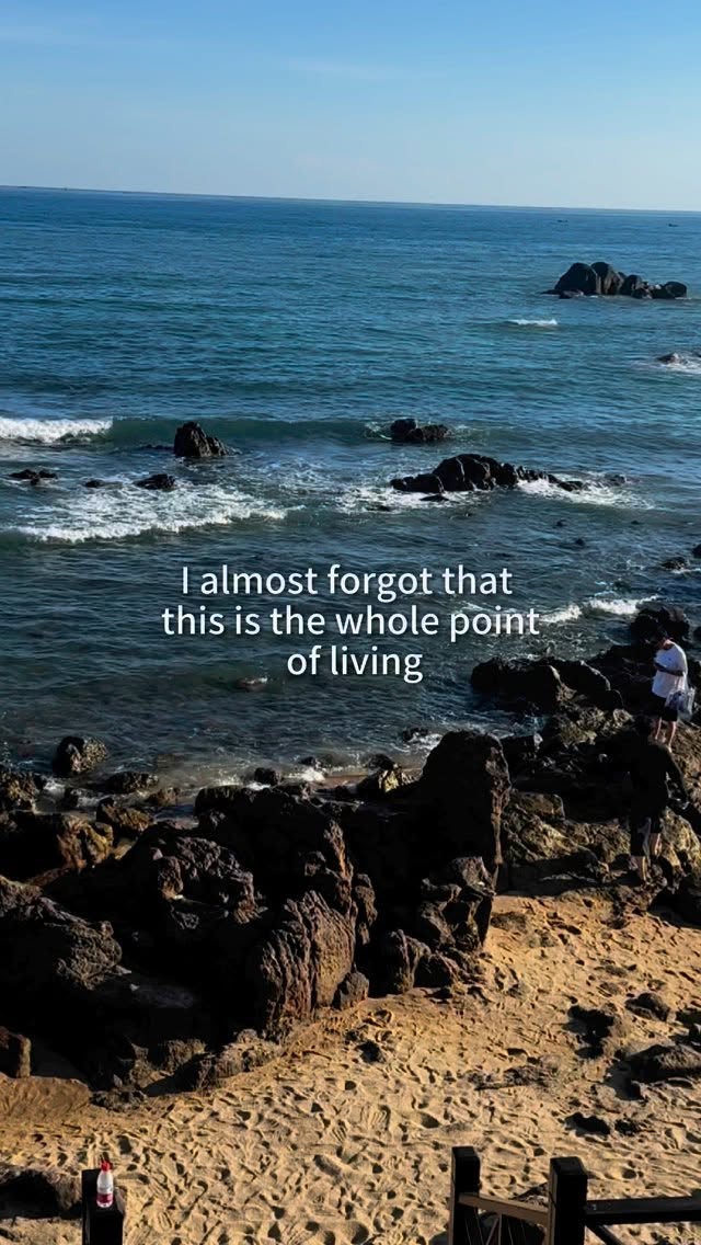 Almost forgot this was the whole point🥹
Enjoying life without restricting myself✨
#BottomSlim #AlmostForgotThisWasTheWholePoint #BodyPeace #SoftConfidence #GentleTransformation #BloatRelief #SGWellness #WellnessJourney #LoveYourBody