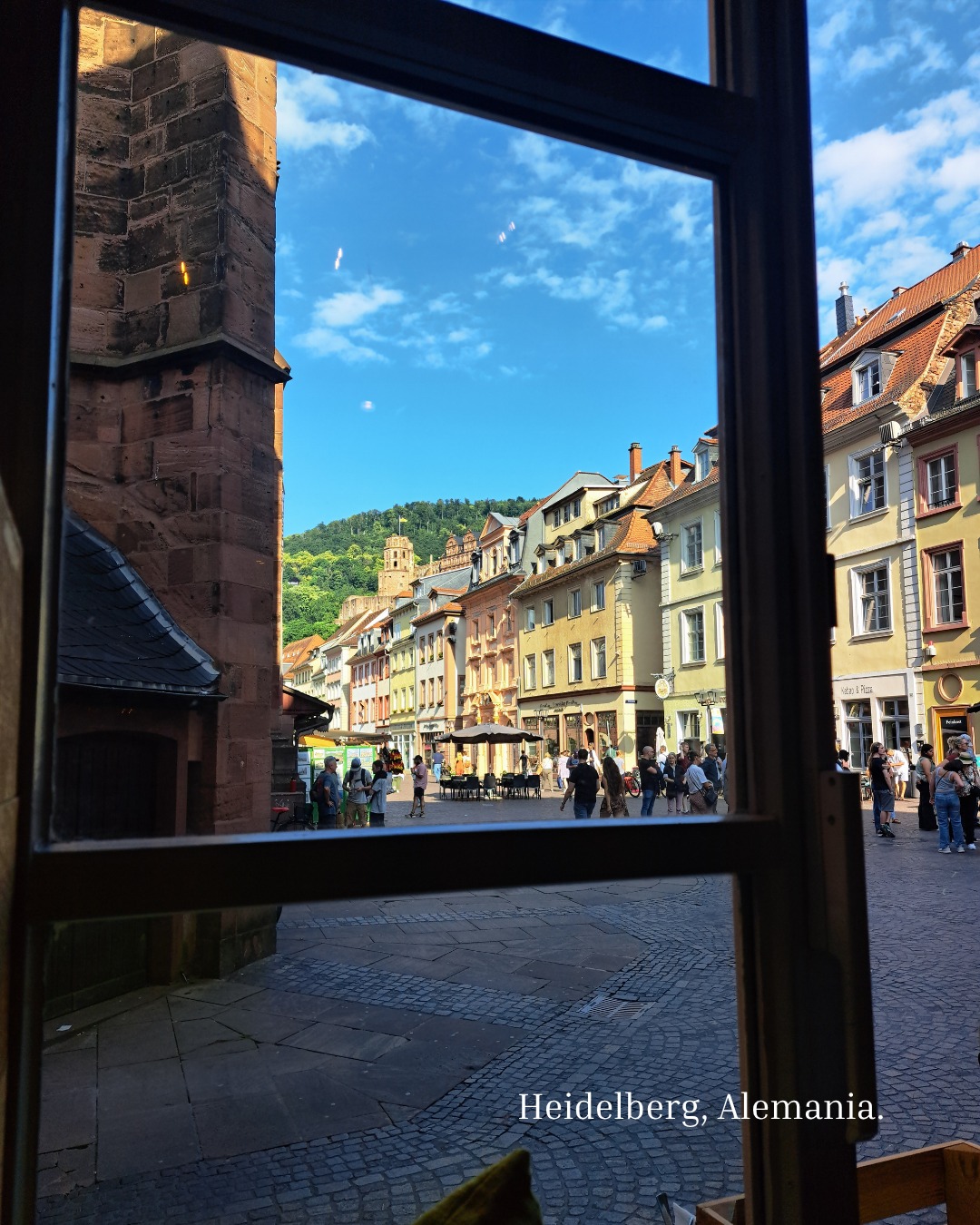 Una mesa junto a la ventana, una copa de vino local y al fondo… el imponente castillo de Heidelberg.
A veces, los mejores viajes no se miden en kilómetros, sino en momentos que se quedan grabados en el alma. 💫
¿Ya conoces este rincón mágico de Alemania?
#heidelberg #heidelbergcastle #viajacontravelx #travelgermany #castillosdeeuropa