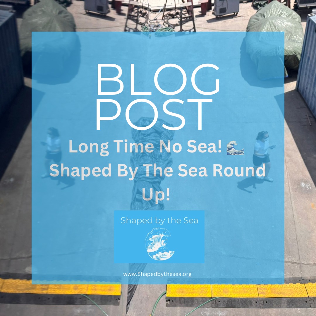 Hey, Hola, Caio!
Happy sunday, to read the latest edition of Shaped by the Sea head to https://www.shapedbythesea.org
A light hearted and easy read on all things Shaped by the Sea ⛵
#Shapedbythesea