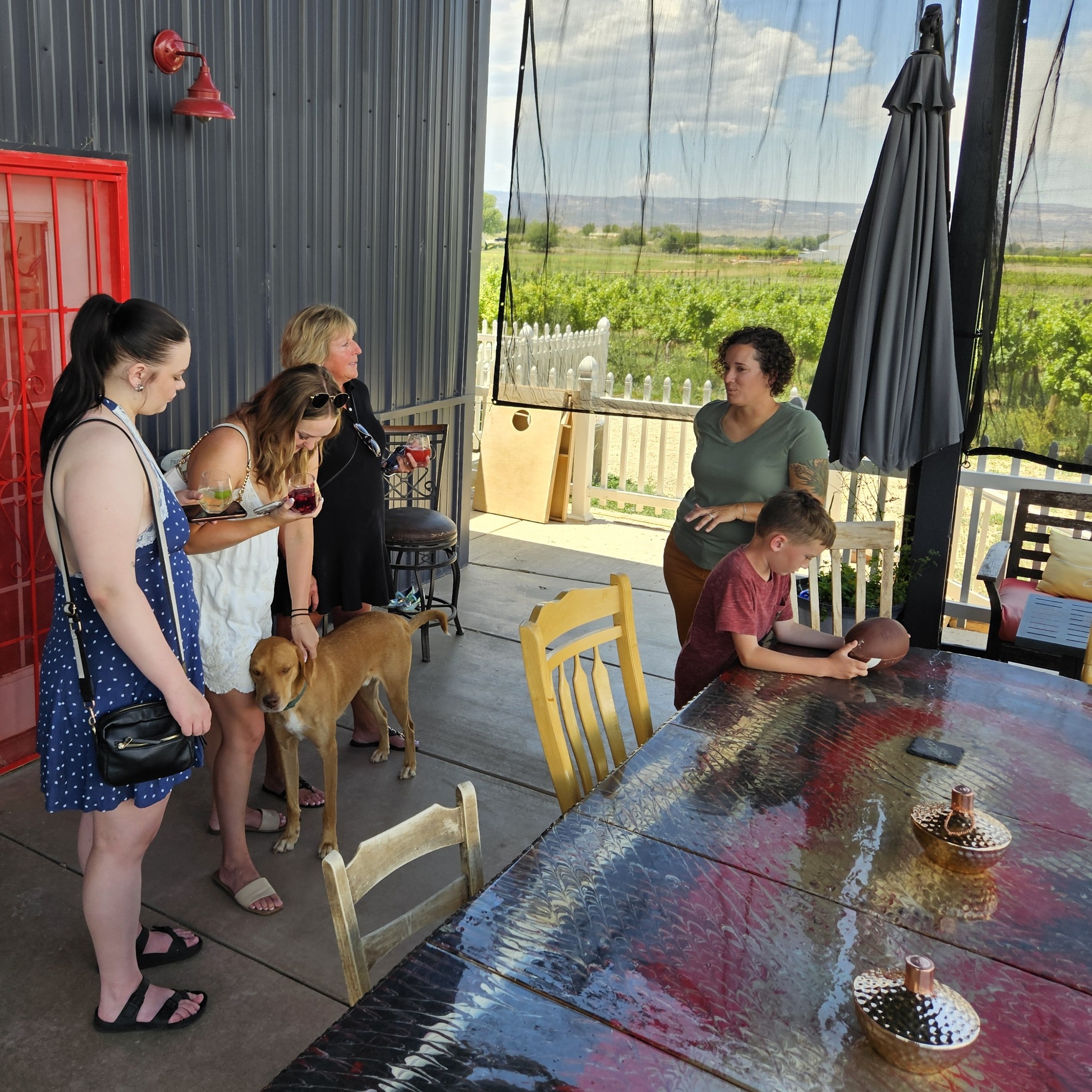 Cheers to 21! Always a treat when we get to help our guests celebrate their milestones! Big thanks to @mafiaprincesswines , @sauvagespectrumwines and @ordinaryfellowwines for making the day so special! Cheers, all!
๐ท๐๐ท๐๐ท๐๐ท๐
#gvgrapesandgrains #coloradowine #altwinerytour #drinklocal #celebrating21 #westslopebestslope