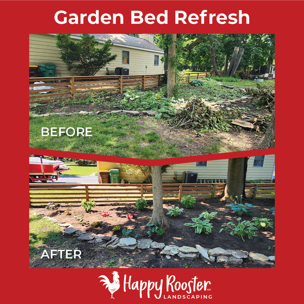 We love a good garden comeback story!
This once-neglected bed got a fresh new perspective — we cleared out the weeds, installed new plants, and thoughtfully worked in the client’s existing favorites for a look that’s both refreshed and personal.
Thinking your garden could use a little TLC? Let’s make it shine again!
224-808-4353 www.HappyRoosterLandscaping.com
#CrystalLake #HappyRoosterLandscaping #GardenGlowUp #FreshPerspective #CurbAppealGoals #YardTransformation