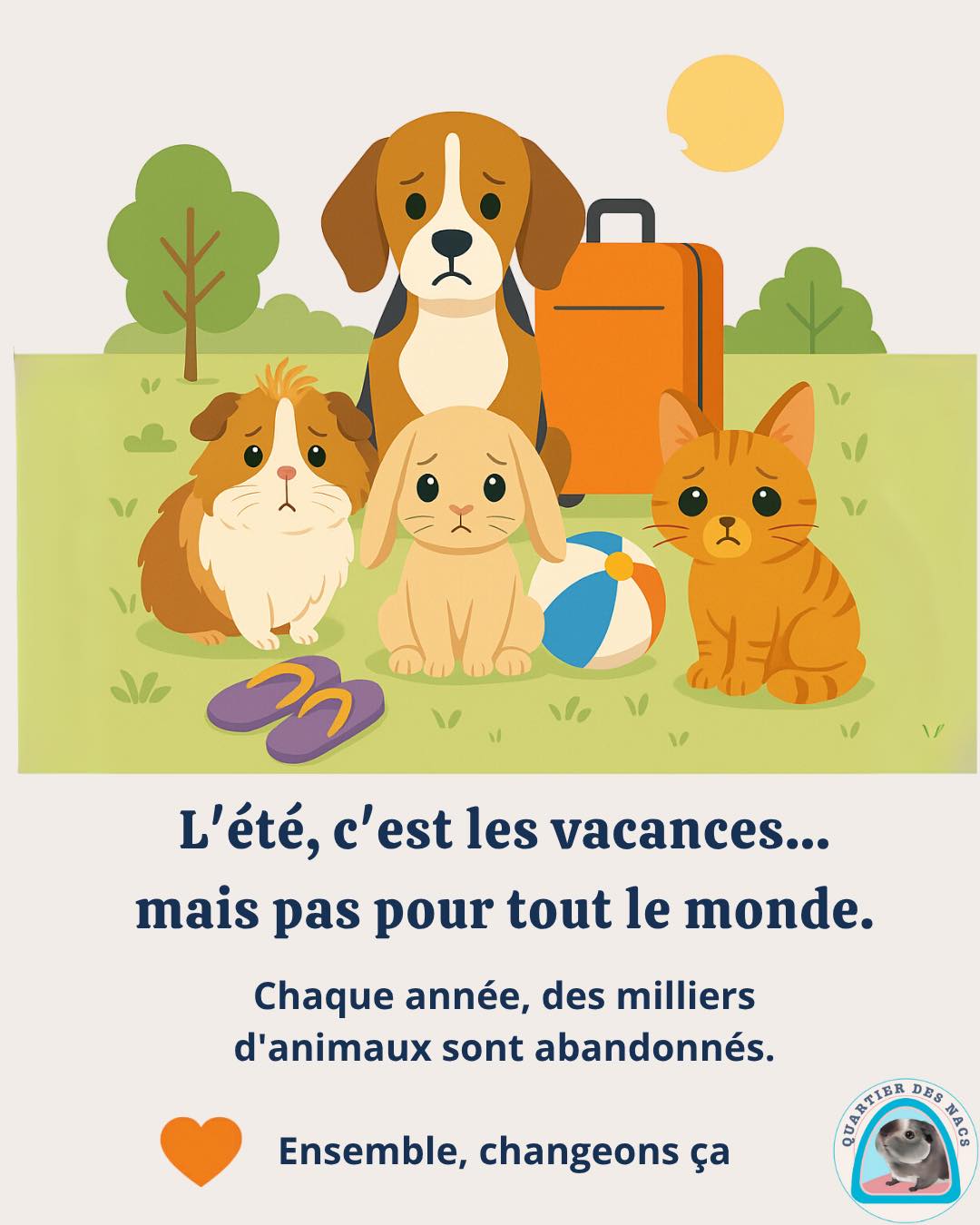 🐾 Chaque été, c’est la même triste réalité…
Des milliers d’animaux sont abandonnés.
Pourtant, il existe des solutions simples pour les faire garder ou partir avec eux !
🐶🐱🐹🐰
✨ Des solutions de garde :
👉 Famille d’accueil, petsitters, pensions spécialisées ou échanges entre particuliers.
✨ Envie de partir ensemble ?
🌿 De plus en plus d’hébergements acceptent les animaux :
🏖 Gîtes de France, Airbnb Pet-Friendly, campings ou hôtels comme Ibis ou B&B.
💛 En les aimant, on les assume, même en vacances.
📢 Partage ce message pour sensibiliser autour de toi !
Et suis-nous pour d’autres conseils et actus NAC 💌
@quartier_des_nacs – Ensemble, protégeons les animaux.
Prenez soin de vos animaux avec Quartier des Natcs 🐾
#chat #bienetreanimal #animauxdecompagnie #cochondinde #cochondinde #bienêtreanimal #animauxdecompagnies #cochondindeheureux #chien #lapin