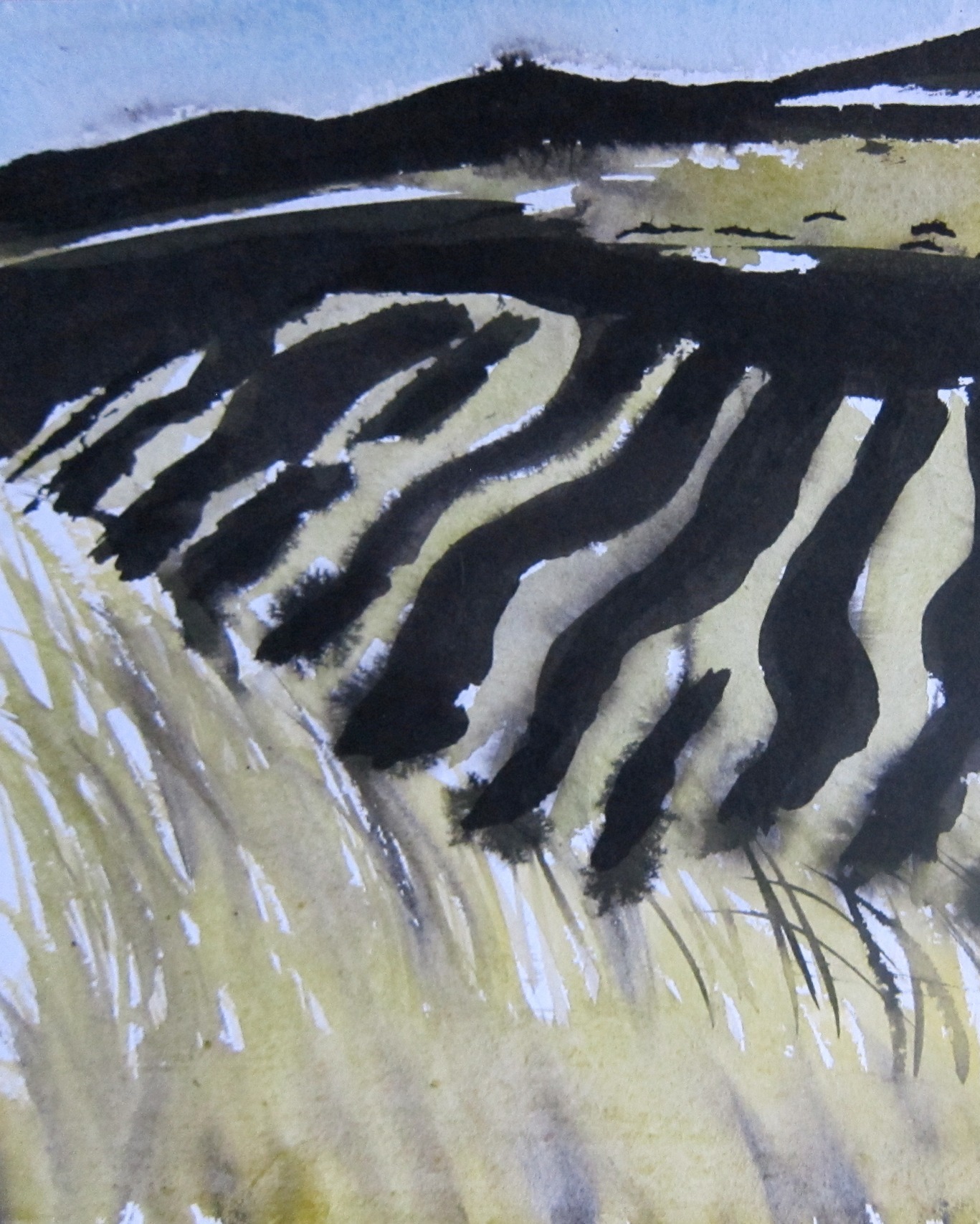 Holmasaig Studio Gallery - down in the beautiful Bays of Harris; drive through some beautiful scenery and then stop here to take in the beauty of Margarita's work!
We have a fantastic group of members who will be opening their studios on the 24, 25 & 26 July and 31 July, 1 & 2 August.
#OpenStudiosHebrides #OpenStudios #LocalArtistShowcase #OuterHebrides #IsleOfLewis #IsleOfHarris #Crafts #ArtsAndCrafts #Artists #ScottishArtistsAndMakers #Stornoway #Hebrides