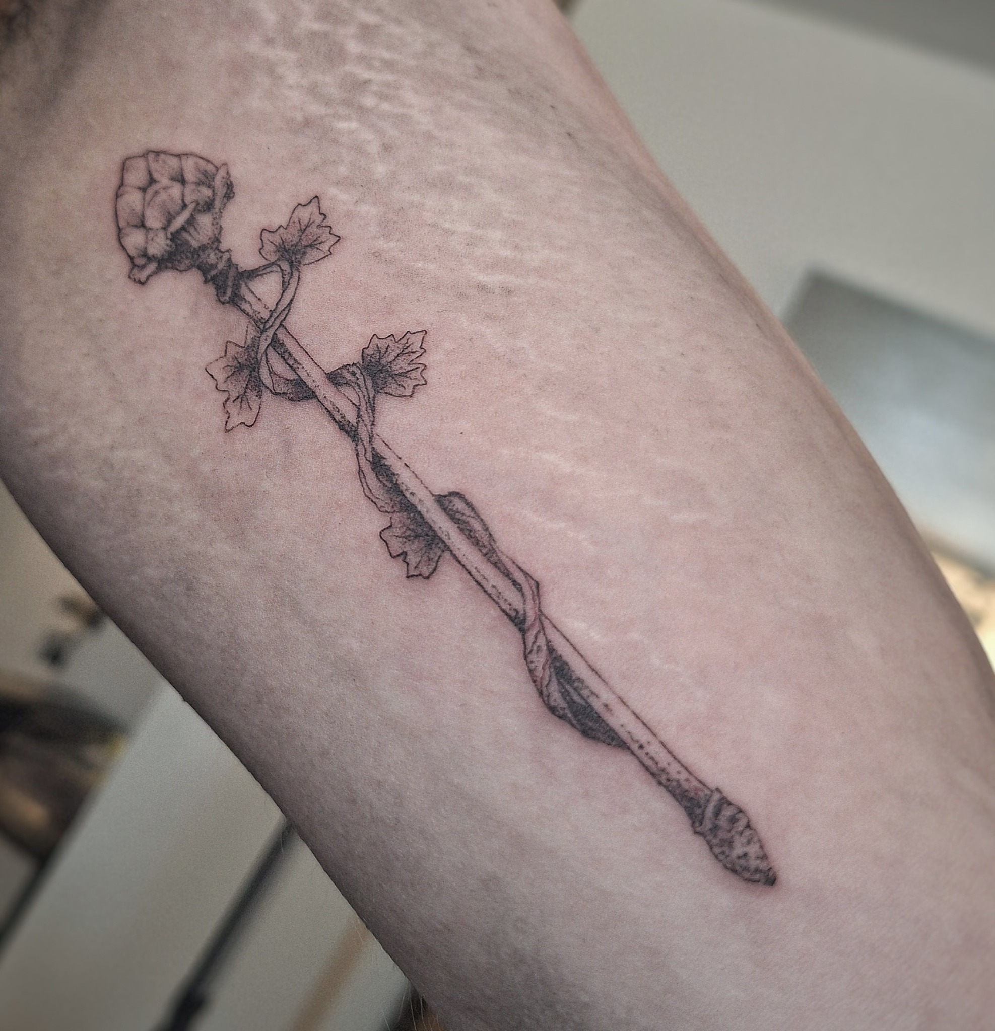 Artifact of ink & nature 🗡️🌿 by @st._ellie
This magical staff-like piece by @st._ellie looks like it wandered straight out of an elven forest. Fine-line precision, a soft sense of lore, and just enough mystery to feel like it holds ancient power. Whether you're into fantasy worlds or just love organic design—this one’s for the dreamers and adventurers.
✨ Want ink like this? 👉 DM @st._ellie or email deroy.eliot@gmail.com to book your spot! ✉️
Done at @thelostoasistattoo
No need to quest far this summer—we’re right here, working through the heat in our cozy, air-conditioned studio. Come get your own magical mark and ask us about summer deals while they last. 💉🔥🧙