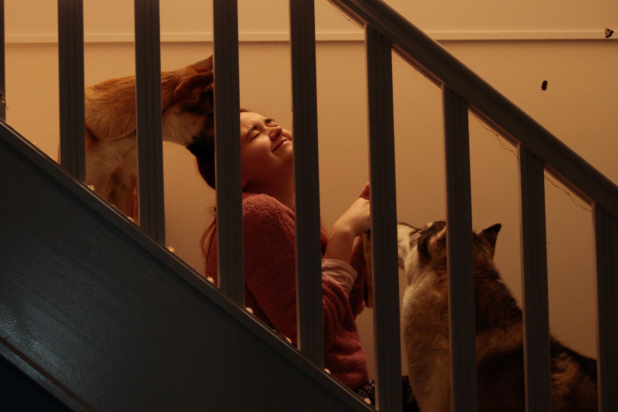 🤝 Créer du lien, c’est essentiel
Un animal, ce n’est pas juste un coloc poilu.
C’est un être vivant avec ses émotions, son rythme, ses besoins.
Prendre le temps de jouer avec lui, c’est lui dire : “Je te vois. Je t’écoute.”
Et ça, ça change tout.