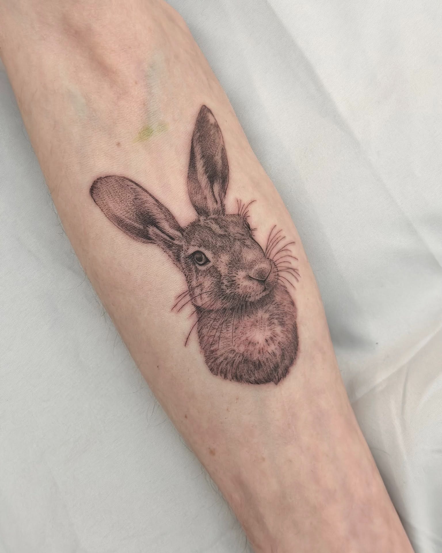 Bright eyes, dark truth 🐇🌘 by @ninkeartsy
These twin rabbit portraits by @ninkeartsy pay tribute to Watership Down—one lively, full of spirit; the other, the haunting Black Rabbit of Inlé. Two sides of the same tale, captured in delicate detail and quiet symbolism. For those who love their ink layered with meaning.
✨ Want ink like this? 👉 DM @ninkeartsy or email tattooninkeartsy@gmail.com to book your spot! ✉️
Done at @thelostoasistattoo
We’re open all summer long, bringing your stories to life while staying cool in our air-conditioned shop. 🌿 Come chill with us, get your literary faves tattooed, and ask about our summer deals before they hop away! 💉📖☀️