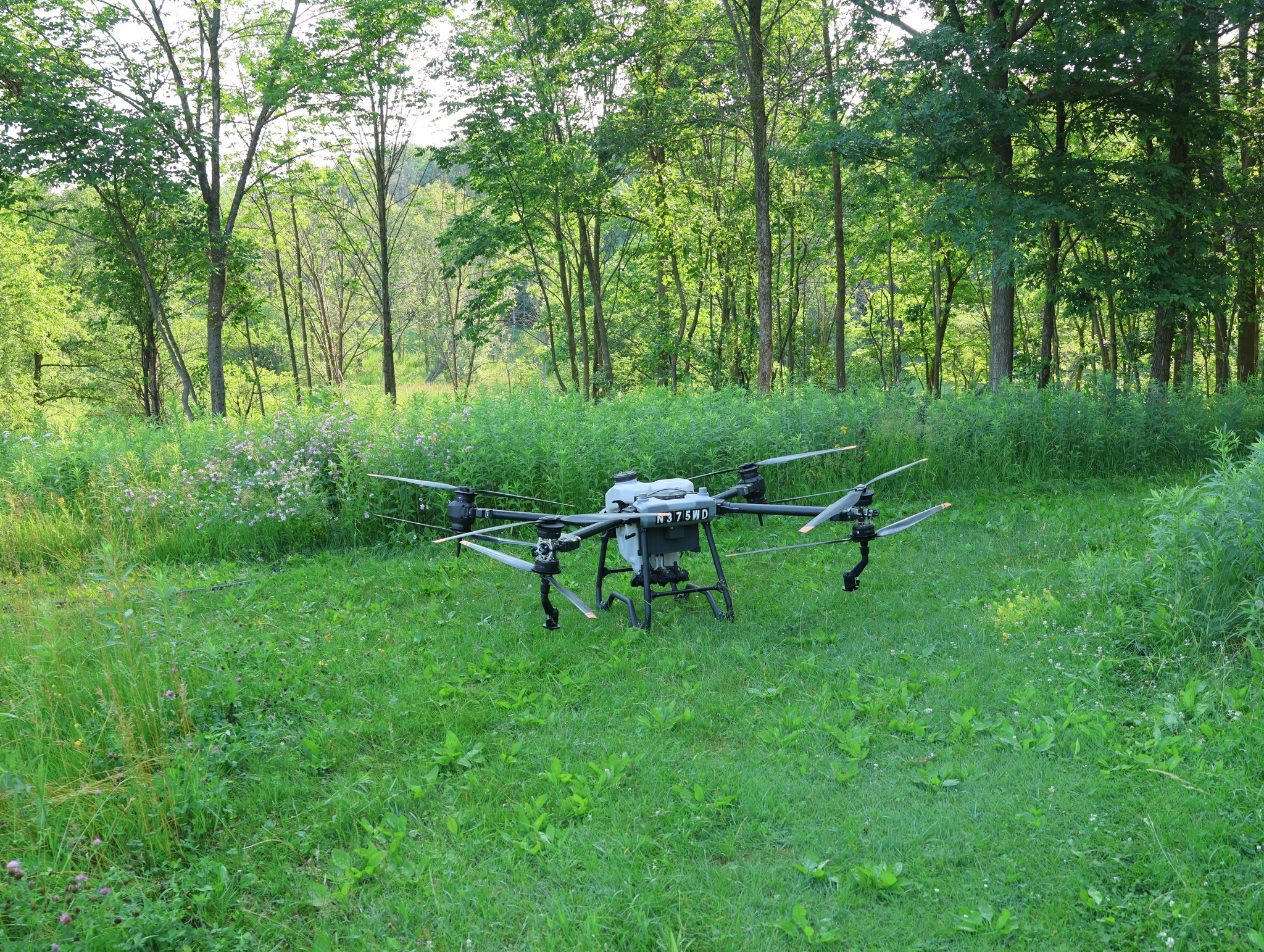 Yesterday, NRE oversaw a drone herbicide application at Willow Creek Preserve targeting Phragmites clones within the Preserve. The application was conducted by Wisconsin Ag and Thermal Drone Services, assisted by Green Fire Ecological.