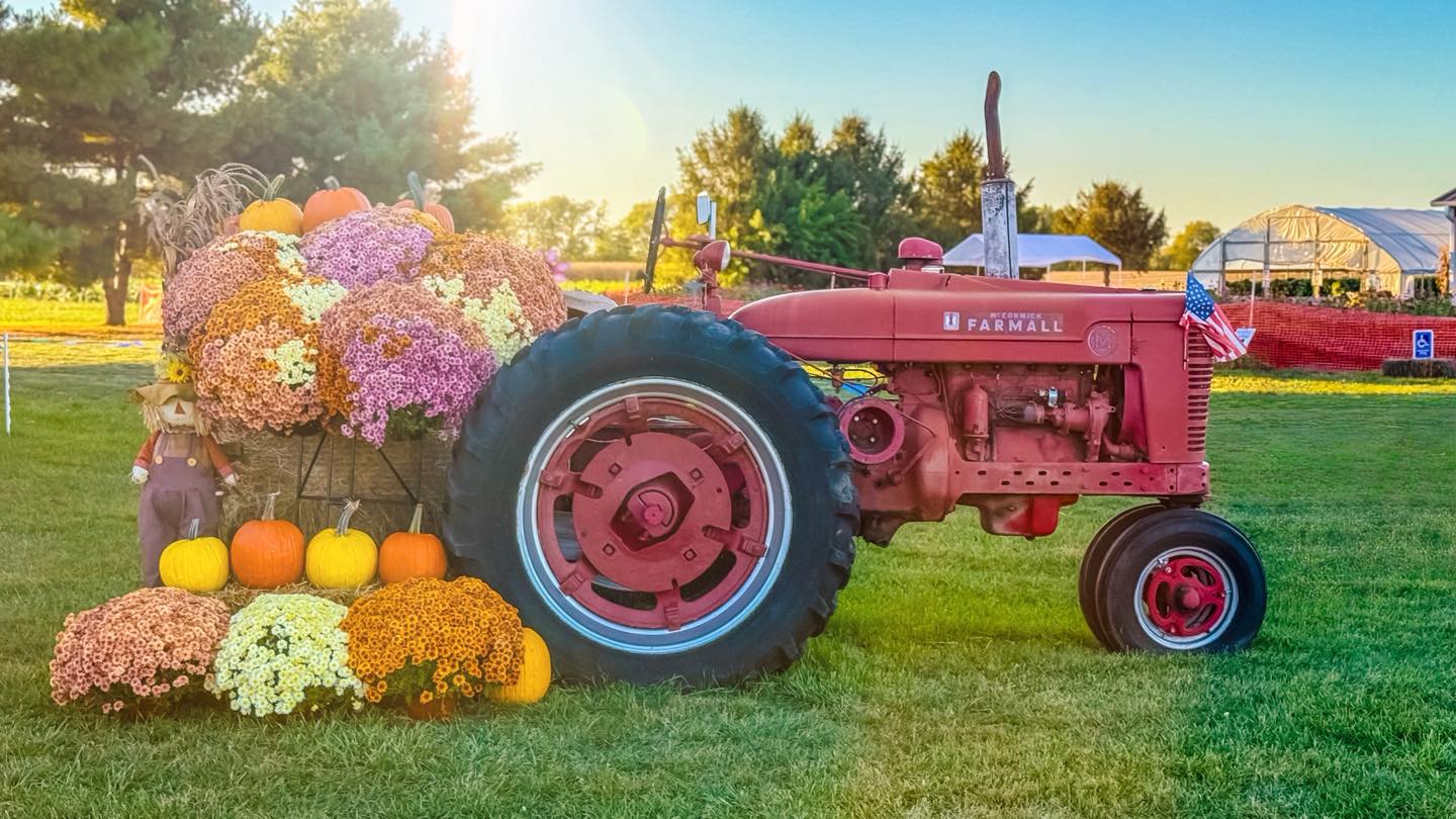 🤗 THANK YOU! 🤗
A huge shoutout to everyone who came out for 🎃 Pumpkin Palooza & our 4th Annual Fill-A-Wagon Sale!
We had so much fun watching all the creative ways you filled those wagons — but what we love most is seeing this event turn into a favorite fall tradition for so many of you. 🍂
Did you capture a photo of your epic wagon haul or a special fall moment? 🍂 We’d 💗 love to see it—drop your favorite pics below. ⤵️
With gratitude,
Greg, Mariah & The Farm Crew