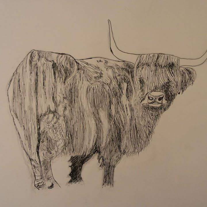 Members at Stornoway Town Hall
Open 24 to 26 July and 31 July, 1 & 2 August (Thursday, Friday & Saturday)
Krista Warklate Art and Ceramics - https://www.openstudioshebrides.com/full-members/krista-warklate-art-and-ceramics
Krista currently focuses on painting, photography and sculpture until she gets a kiln up and running so she can also create ceramics.
#OpenStudiosHebrides #OpenStudios #LocalArtistShowcase #OuterHebrides #IsleOfLewis #IsleOfHarris #Crafts #ArtsAndCrafts #Artists #ScottishArtistsAndMakers #Stornoway #Hebrides