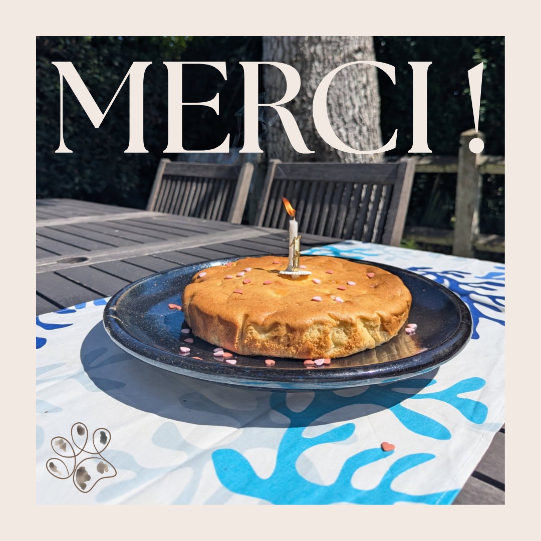 Voilà un an que l'aventure des chambres de Lenn à Damgan a commencé 🐈
Merci pour votre confiance à l'occasion de vos haltes lors de vos vacances, week end, déménagements, au milieu de votre GR 34, chemin de randonnées, semaine de travail....
Merci pour vos petits mots et dessins dans le livre d'or 📖
Merci pour vos sourires et vos encouragements 🥰
Alors... on continue !!!!!! 😁
Une nouvelle page de partage sur le site, regardez comme c'est bleaug 🤩 👉🏼 https://www.leschambresdelenn.com/blog
Je vous attends !
#bretagne #damgan #morbihan #chambresdhotes #vacances #été #summer