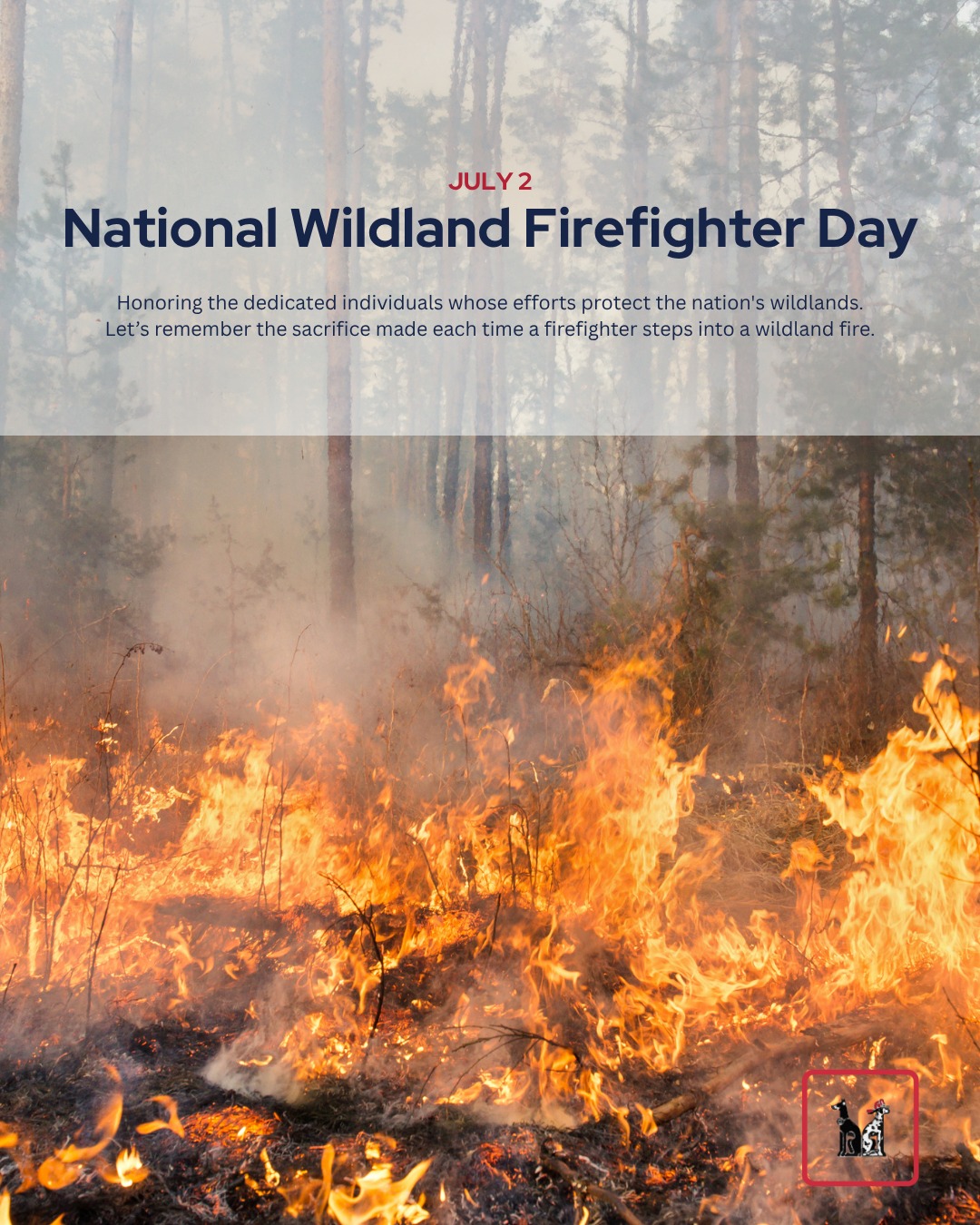Every time they step into a wildfire, they protect land and lives with the risk of sacrificing their own. On National Wildland Firefighter Day, we honor their courage and reflect on the power of preparedness.
#haigservicecorp #nationalwildlandfirefighterday #honorfirefighters