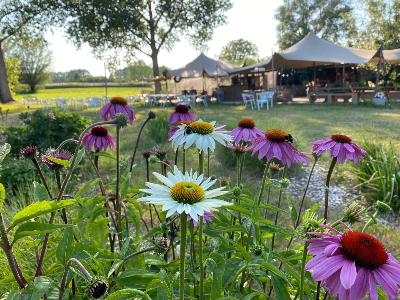 Tijdens de zomervakantie zijn we open op donderdag, vrijdag, zaterdag vanaf 14u en zondag vanaf 11u. Welkom! ๐ธ๐ฅ