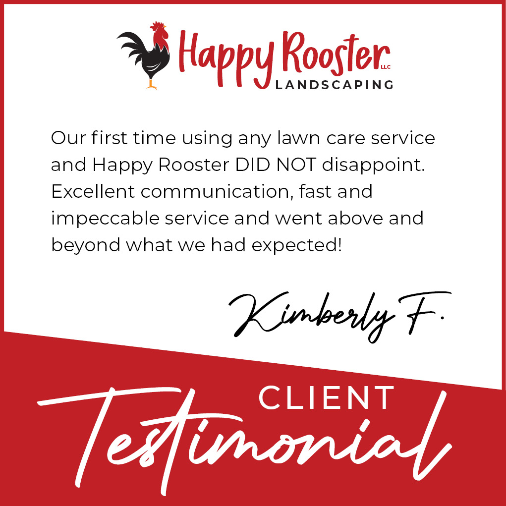 📣We’re proud to deliver results worth raving about.
📲 Let’s chat about your goals—send us a message 224-808-4353!
#TestimonialTuesday #happyroosterlandscaping