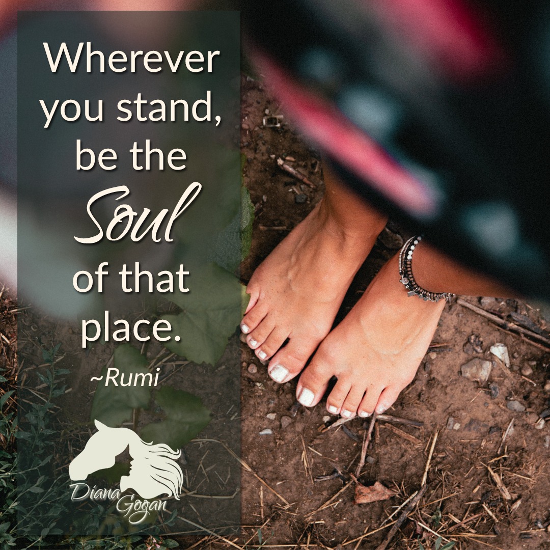 What would it mean to bring your Soul’s truth everywhere you go?
To show up in your life, work, relationships, and choices fully aligned with who you really are?
In Part 5 of The Soul’s Journey — Creating from Your Soul’s Truth — we explore how to take intentional, soul-led action that honors your deepest values.
• Learn the signs of alignment vs. misalignment
• Discover personal stories of soul-led leaps
• Try practices to reconnect with your truth
• Dive into a free downloadable worksheet with journal prompts and a self-assessment quiz: “Are You Living in Soul Alignment?”
Because when you’re aligned, you are the Soul of the place — lighting up the world around you simply by being true to yourself.
Read the Blog: https://www.dianagogan.com/post/creating-from-your-soul-s-truth-the-soul-s-journey-part-5
#TheSoulsJourney #SoulAlignment #RumiQuote #AuthenticLiving #DianaGoganCoaching #SpiritualGrowth #FreeDownload #JournalPrompts #LiveYourTruth