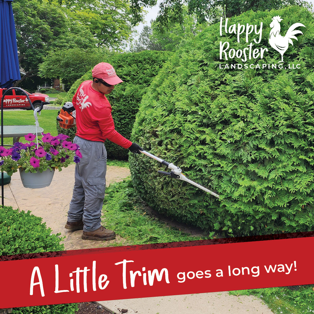 Let us shape up your bushes before they stage a backyard takeover. Message us at 224-808-4353 for a free, no-pressure estimate.
www.HappyRoosterLandscaping.com
#CleanCutCrew #BushControl #YardGlowUp #PruneWithHumor #HappyRoosterLandscaping