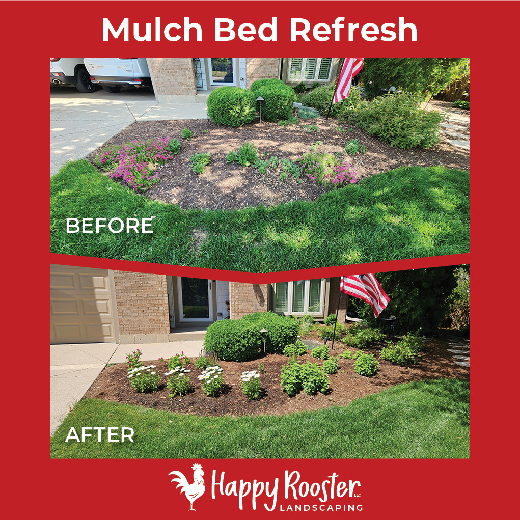 A pop of color makes all the difference! We added beautiful perennial plants to this client’s mulch beds for year-round interest and color. Want to brighten up your beds? Message us at 224-808-4353 for a no-pressure estimate!
www.HappyRoosterLandscaping.com
#HappyRoosterLandscaping #YearRoundColor #LandscapeGlowUp #MulchAndBlooms #GardenGoals #CrystalLakeIL