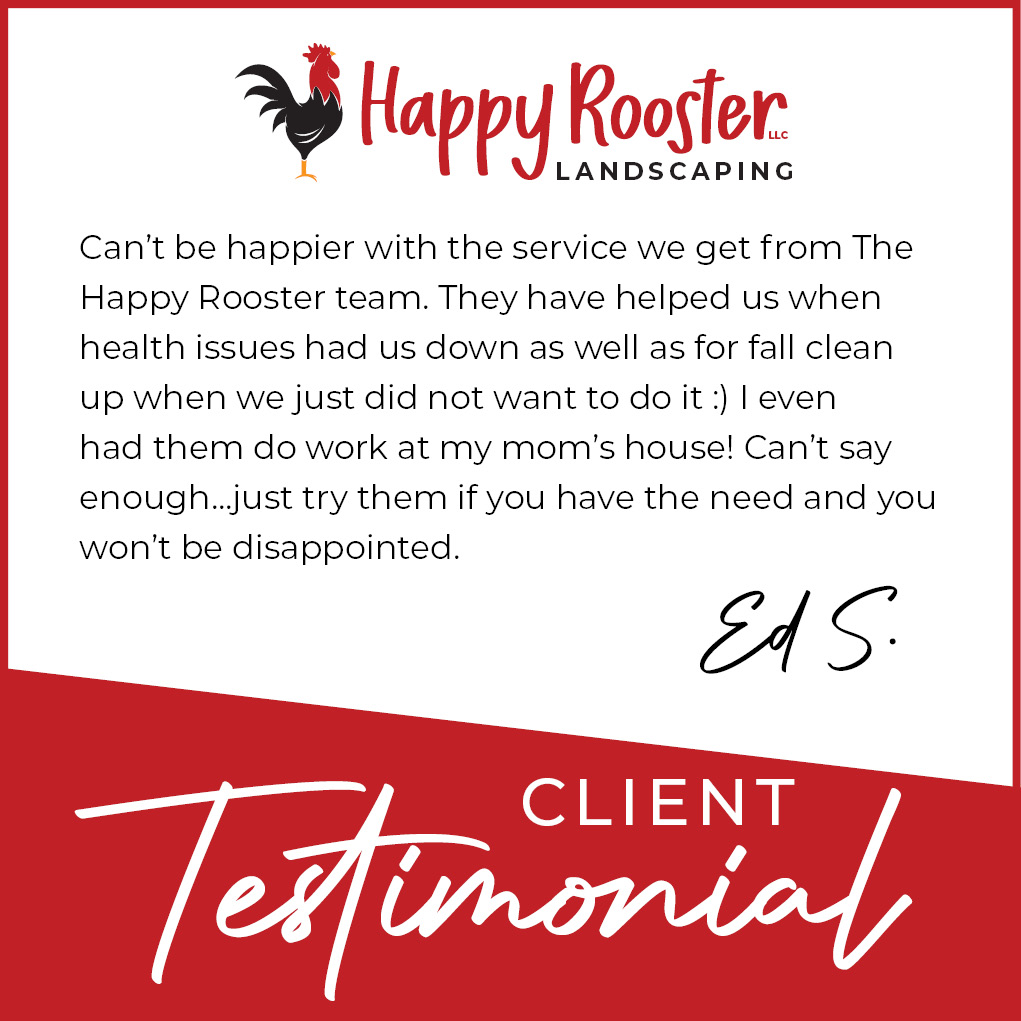 📣We’re proud to deliver results worth raving about.
📲 Let’s chat about your goals—send us a message 224-808-4353!
#TestimonialTuesday #happyroosterlandscaping