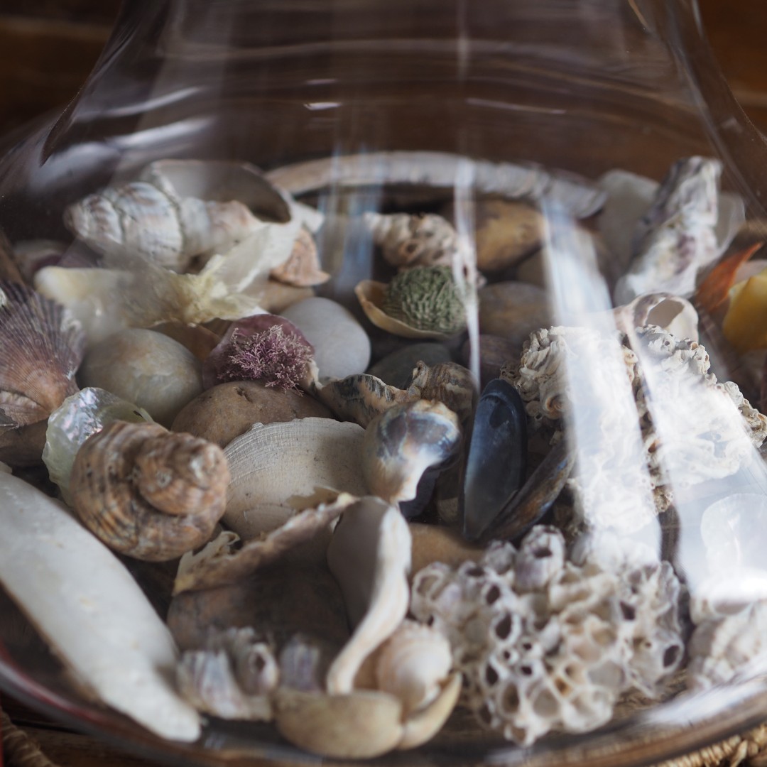 Envie de faire une pause iodée cet été ? ☀️⛱️
À Damgan, Les chambres de Lenn vous ouvrent leurs portes pour un séjour détente entre ciel bleu et air marin avec :
🏡 Chambres tout confort
🤗 Accueil convivial et petit déjeuner gourmand !
📍 À deux pas de la plage
Pour en savoir plus, rendez-vous sur le site 👉🏼 www.leschambresdelenn.com
➡️ Pour réserver un séjour 📩 : leschambresdelenn@gmail.com ou par téléphone 📞 : 06 84 83 28 26
#bretagne #bretagnetourisme #damgan #morbihan #morbihantourisme #chambresdhotes #vacances #été #summer