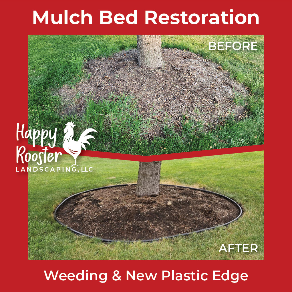 Fresh edges make a big difference! We cleaned up this yard with a combination of natural bed edging, sidewalk edging with a metal blade, and black plastic edging to keep everything neat. Some weeding and bush trimming completed this full yard transformation.
Message us at 224-808-4353 for a quick, no-pressure estimate!
www.HappyRoosterLandscaping.com
#FreshEdges #YardGlowUp #CurbAppealWin #SupportLocal #HappyRoosterLandscaping