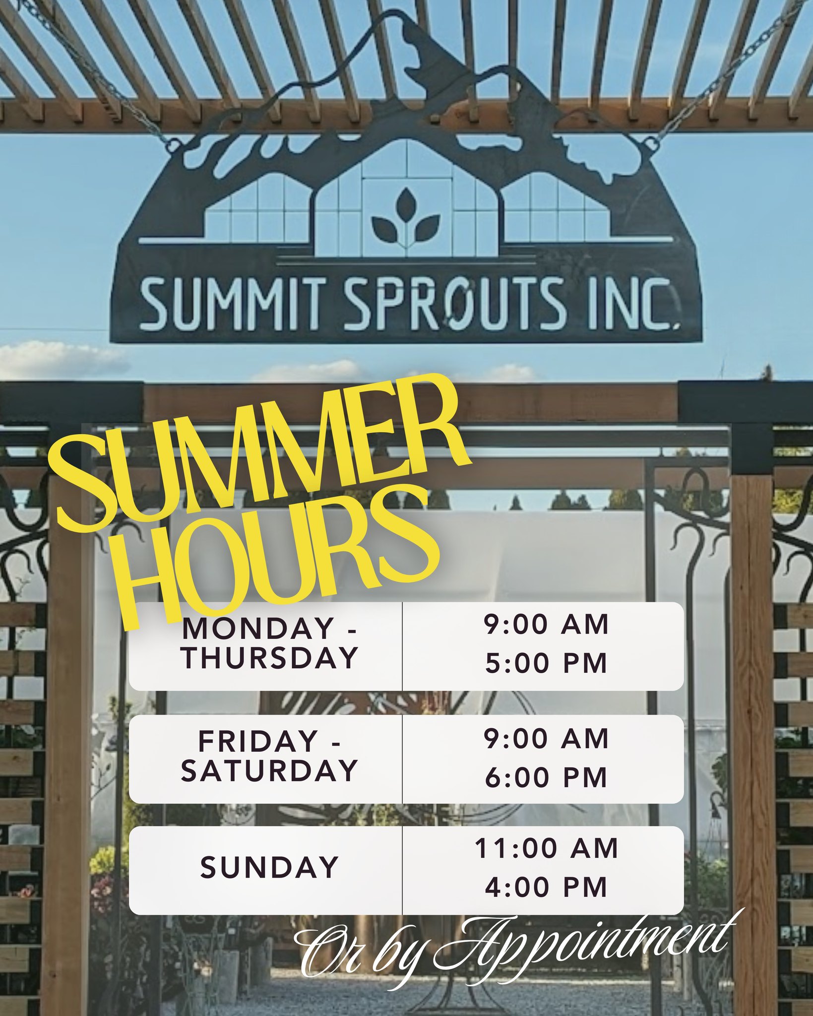 New Summer Hours Are Here!
As the season shifts, so do our hours. We’re adjusting to the summer rhythm so our team (and plants) can thrive.
Monday–Thursday: 9 AM – 5 PM
Friday–Saturday: 9 AM – 6 PM
Sunday: 11 AM – 4 PM
Or by appointment!
Whether you're planning a weekend project or just need a midweek plant fix, we’ve got you covered. Come stroll the aisles, soak in the summer blooms, and find your next garden favorite.
Visit us in Hayden and see what’s growing!