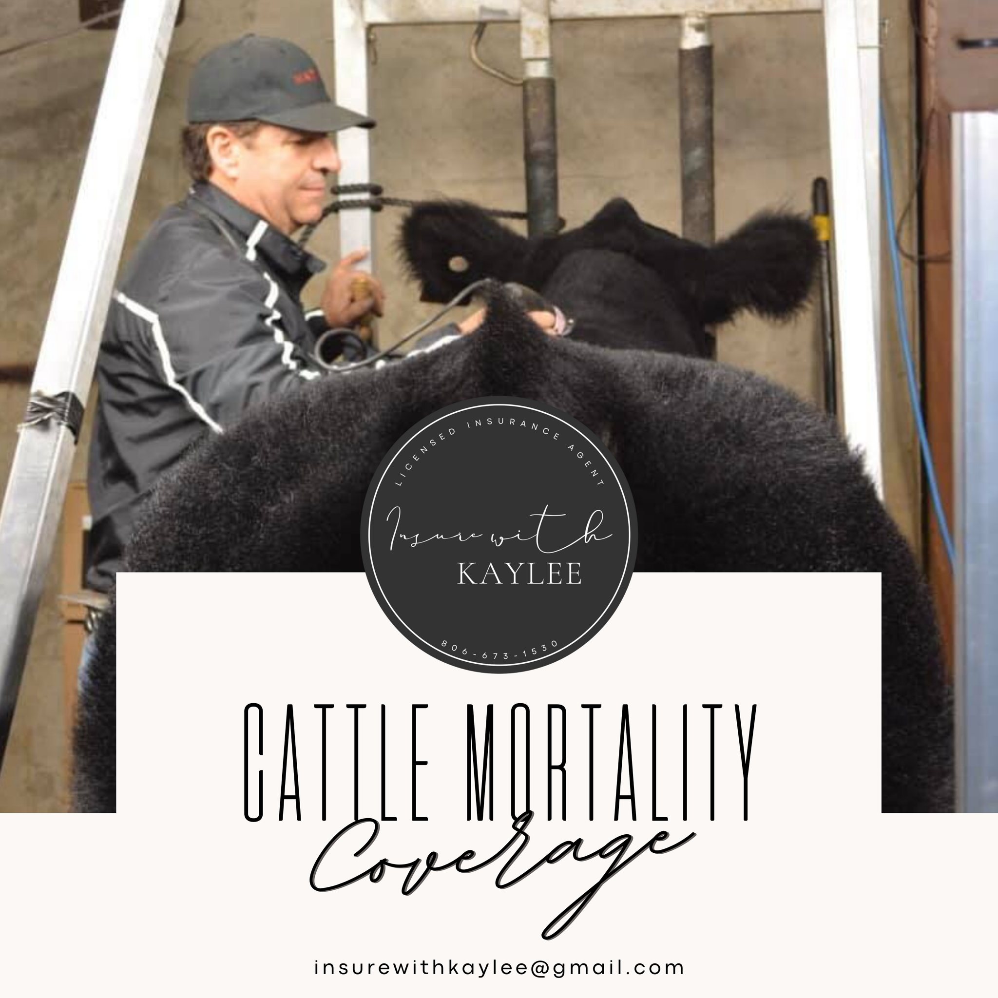 Lots of great sales happening right now on SC Online Sales — don’t forget to secure cattle mortality coverage for those high-valued cattle! Email me to get a quote.
Insurewithkaylee@gmail.com
https://www.kayleeimkeequineagent.com/