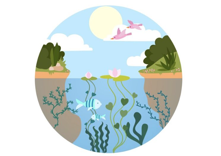 🌊 WATERFRONTS is dedicated to protecting marine ecosystems and strengthening our waterfronts. Through art, culture, and innovative policymaking, we empower communities to engage in environmental stewardship. Join us in building a brighter, more resilient future for our oceans and coasts!
🌐 Learn more: https://www.waterfronts.site/
#WATERFRONTS #EuropeanGreenDeal #waterinitiative #euwater #EcoAnxiety #ArtForClimate #BlueGrowth #EUClimatePolicy #sweden #greece #croatia #CreativeEurope #ClimateSolutions #Innovation #ClimateAction #artivism #sustainabilityart #sdgs #agenda2030 #watersustainability #culture #heritage