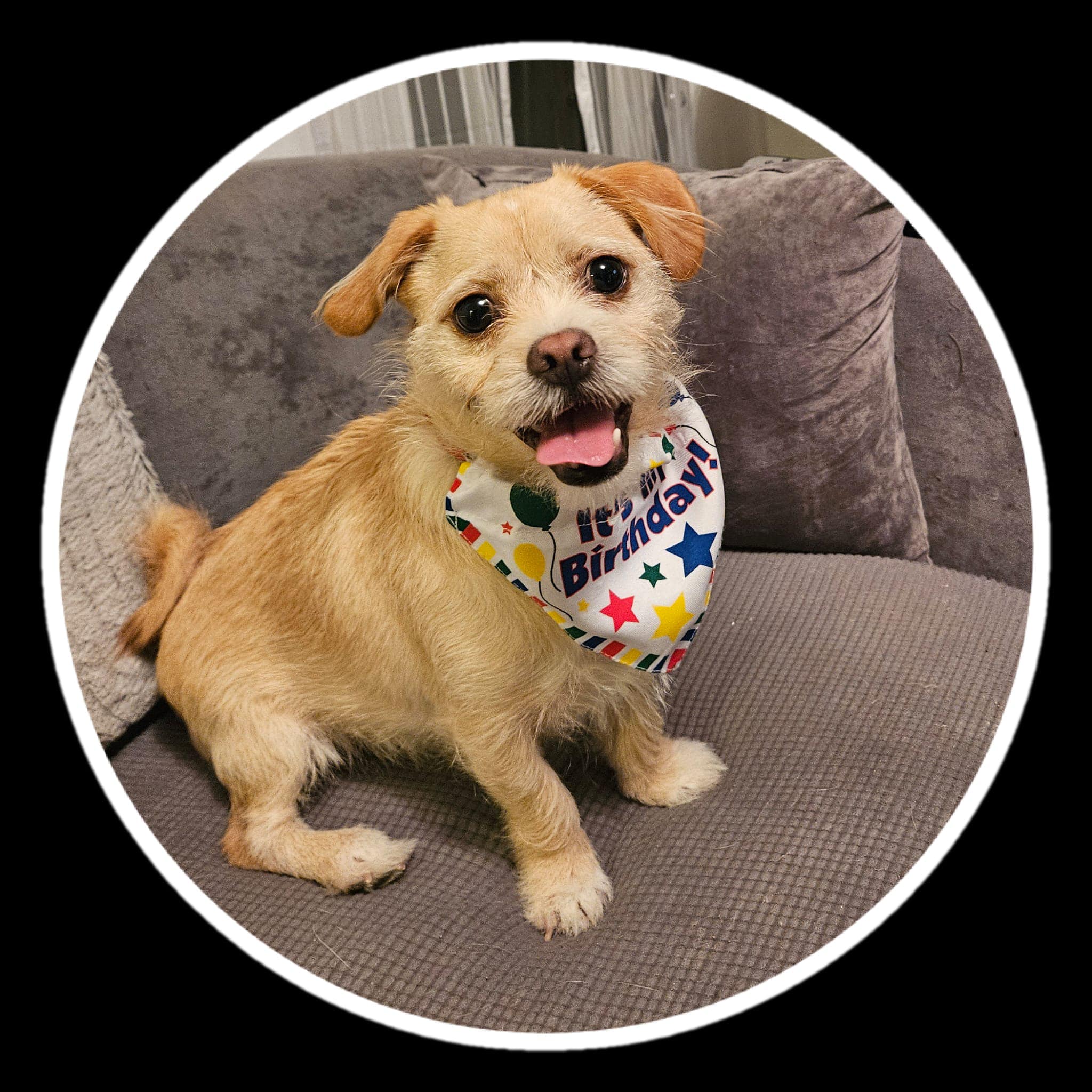 Happy birthday Kodi!! ❤️❤️❤️ 2 today ❤️🎂❤️🥰🥰🥰🥰🥰🥰😍😍😍😍😍😍😍😍😍😍