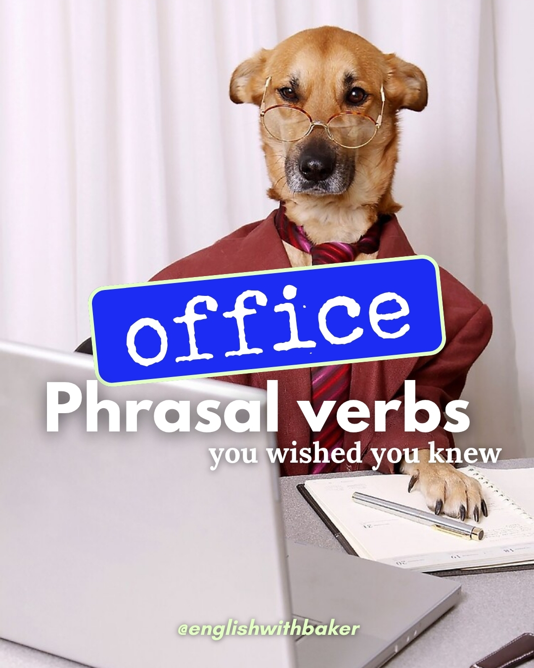 💼🐾 When the office drama meets English class...
Sí, estos phrasal verbs vienen con café, estrés y perritos con corbata ☕📎🐶
Mi consejo es que aprendas phrasal verbs por contexto, ¡es mucho más fácil!.
¿O acaso aprendiste “I wake up at 6:00 am” por el verbo "wake" o por su partícula "up"? ¡No! Lo aprendiste por la rutina, por el contexto… y eso lo hace más natural y sencillo 💡
🐶💬 Cuéntanos en los comentarios:
Qué actividades haces (o pasan) en la oficina y te digo qué phrasal verbs necesitas para level up & boost your English.
📌 Guarda este post y compártelo con tu coworker más estresad@.
#Office #businessenglish #PhrasalVerbs #DogMemes #aprenderinglés #inglesfacil #inglesonline #speakenglish #ingles