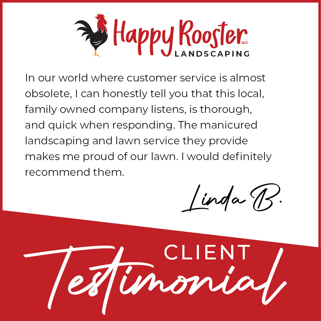 📣We’re proud to deliver results worth raving about.
📲 Let’s chat about your goals—send us a message 224-808-4353!
#TestimonialTuesday #happyroosterlandscaping