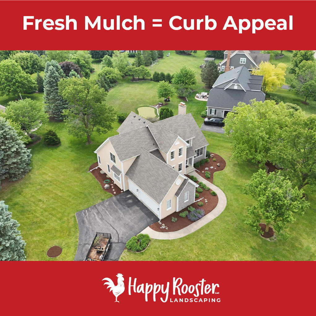 Fresh mulch = instant curb appeal. We gave this yard a quick refresh to get it photo-ready for the real estate listing — small upgrade, big impact!
Selling soon? Let us help your home put its best face forward with a no-pressure estimate. 224-808-4353 www.HappyRoosterLandscaping.com
#MulchRefresh #CurbAppealBoost #ListingReady #HomeSalePrep #HappyRoosterLandscaping #LakewoodIL