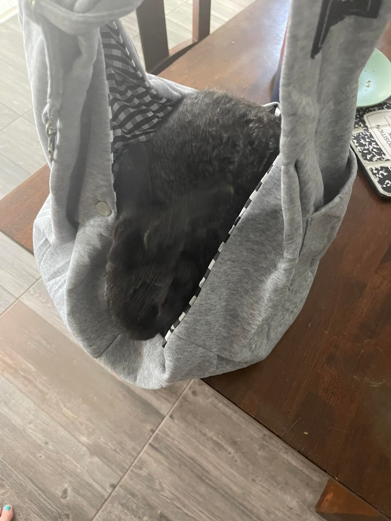 I’m trying an experiment with Hamilton. After a year (maybe two?) of being super gently with him, he’s not much better at trusting us. So I got a small doggie purse and I’m carrying him around the house for brief stints throughout the day. I’m hoping exposure therapy will make h less afraid.